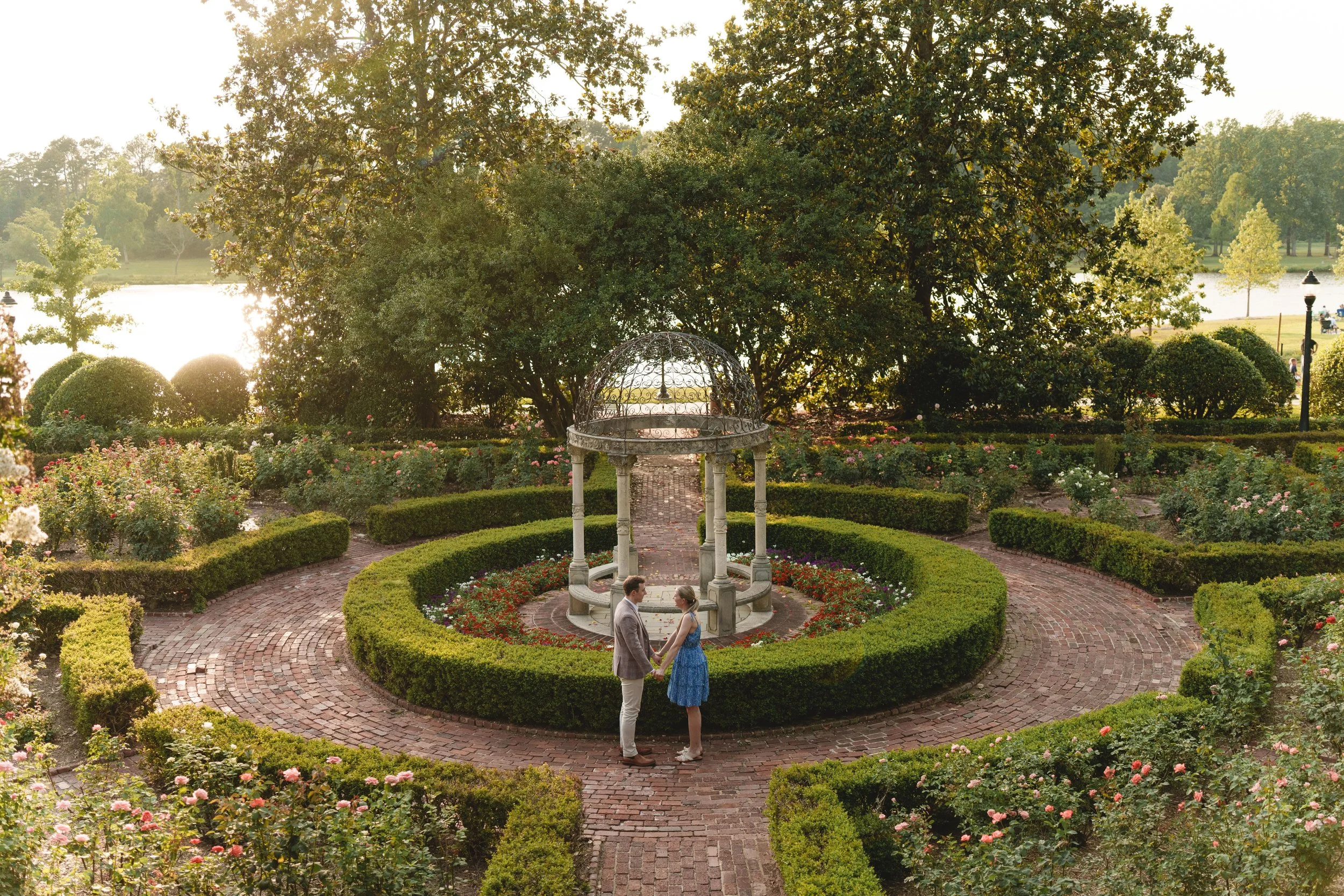 AR504726.jpg