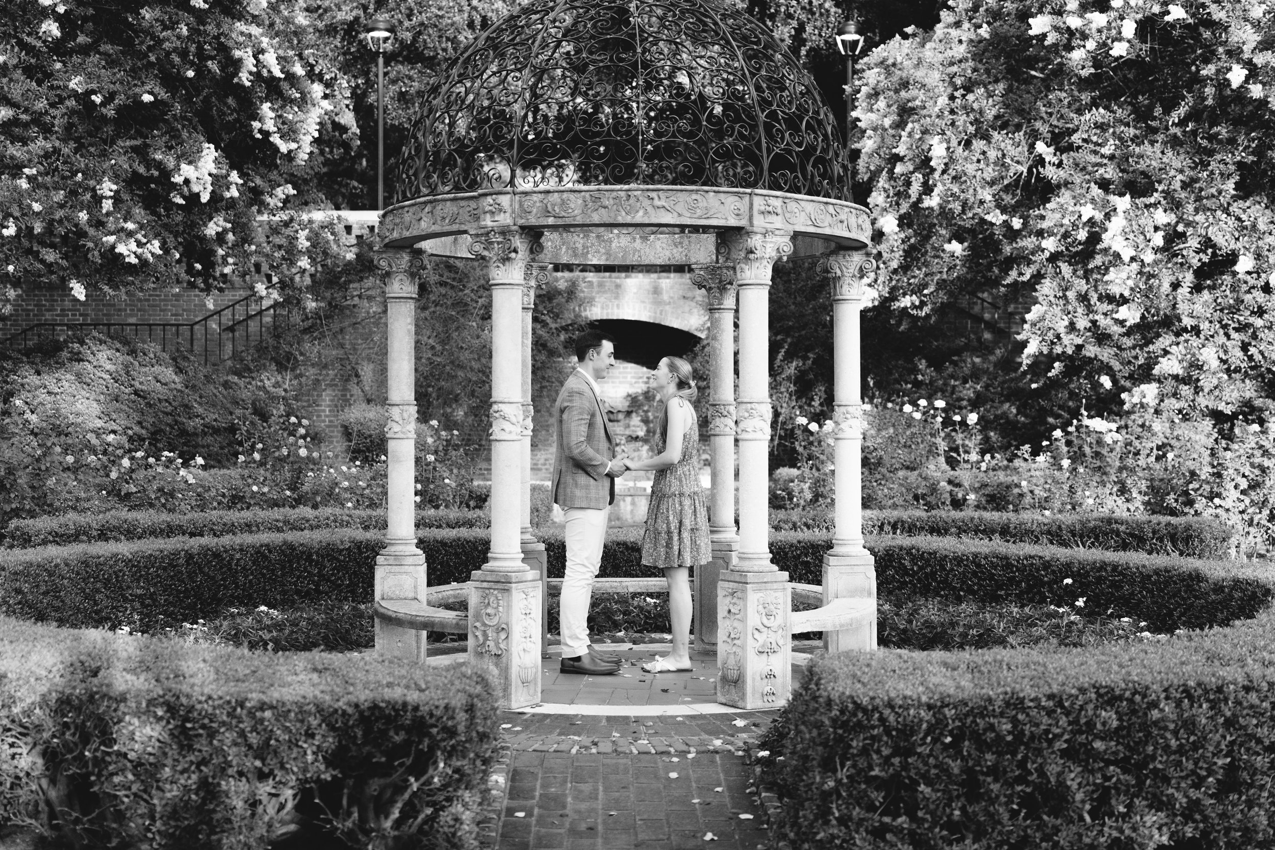 AR504881.jpg