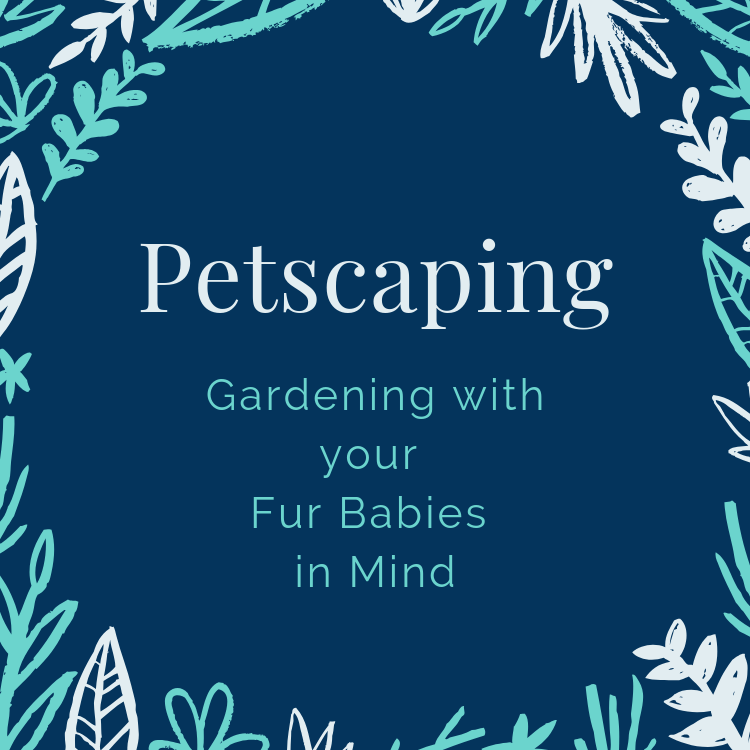 Pet Friendly Gardening