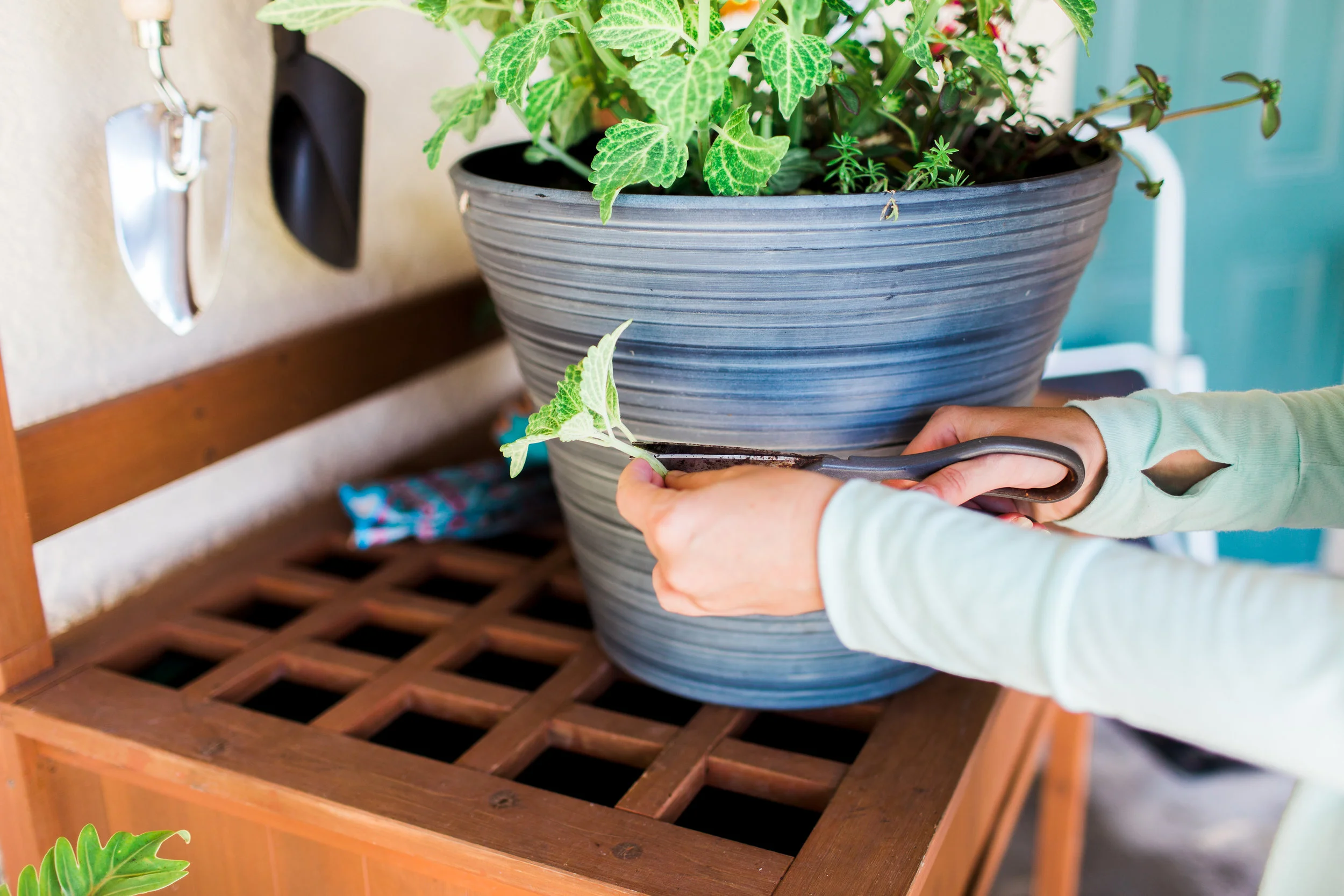 Clip &amp; Propagate