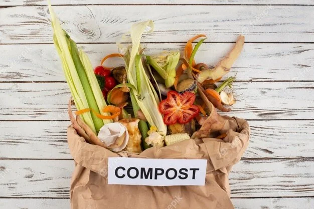 Composting Basics