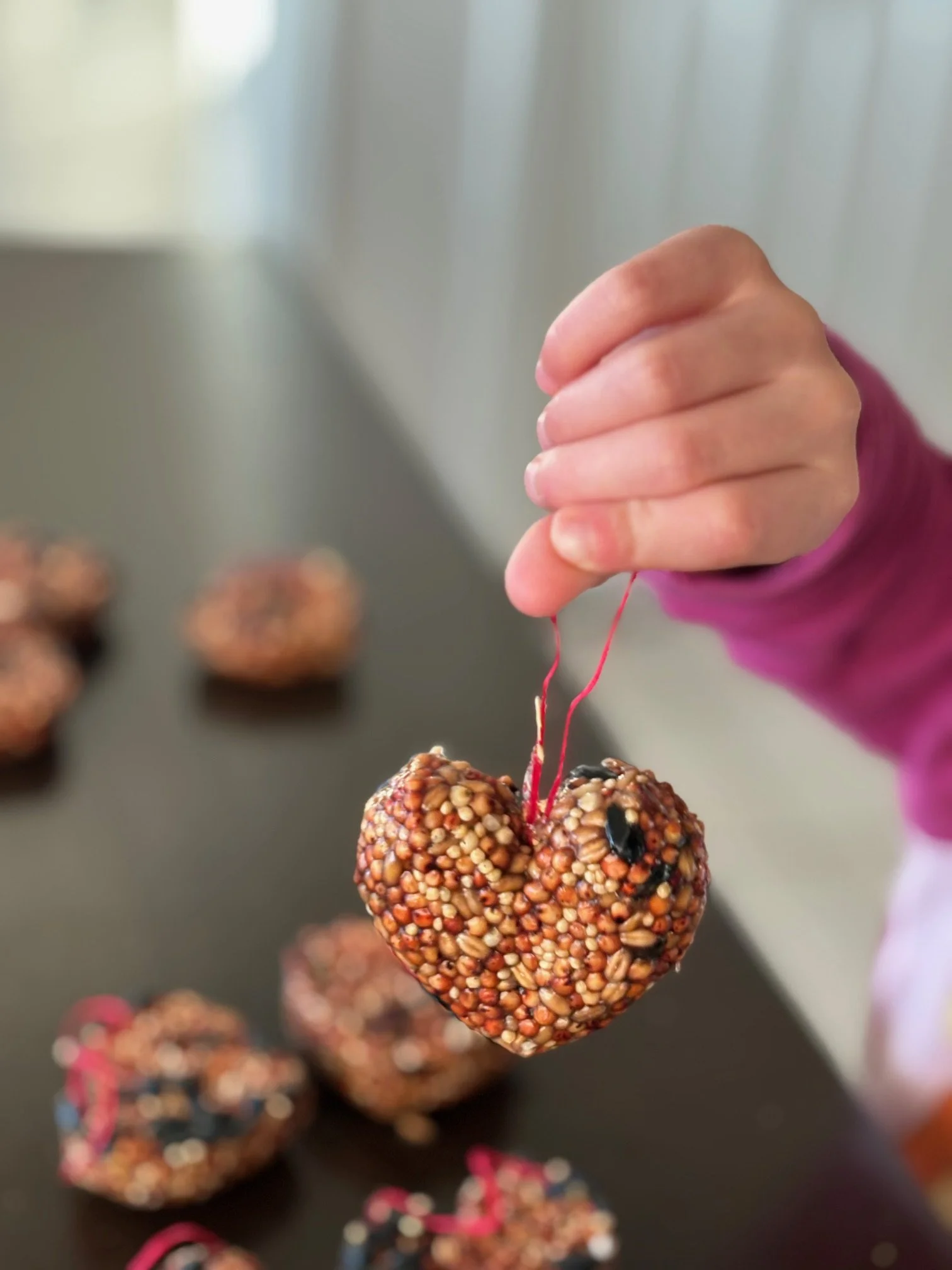 Valentine Inspired Bird Feeder