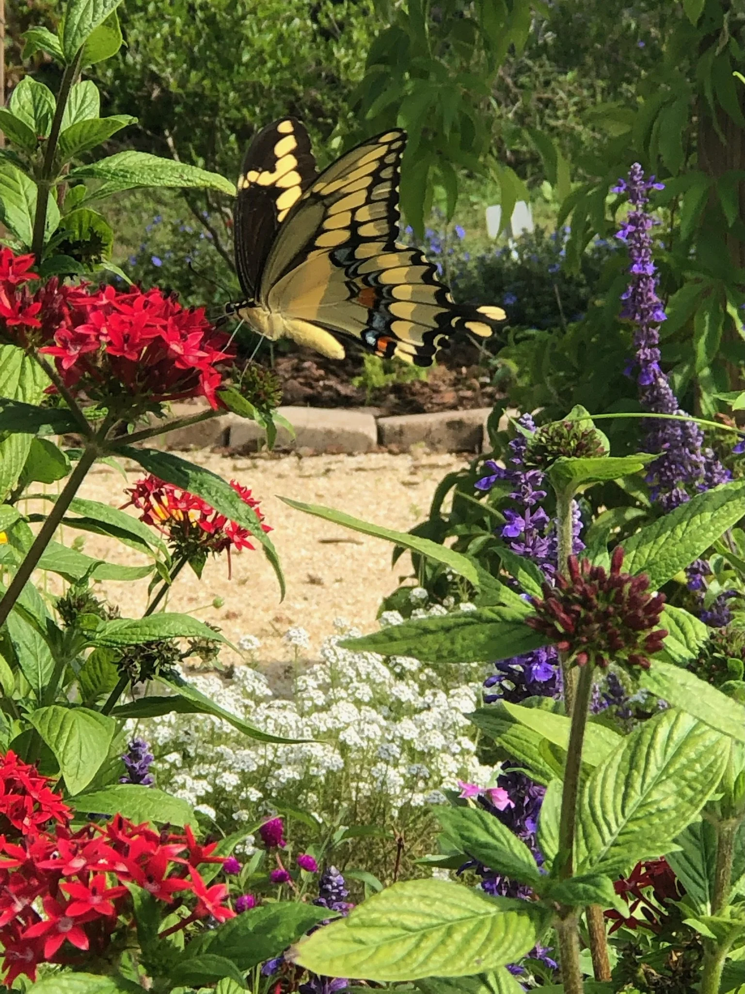 Sustainable Gardening