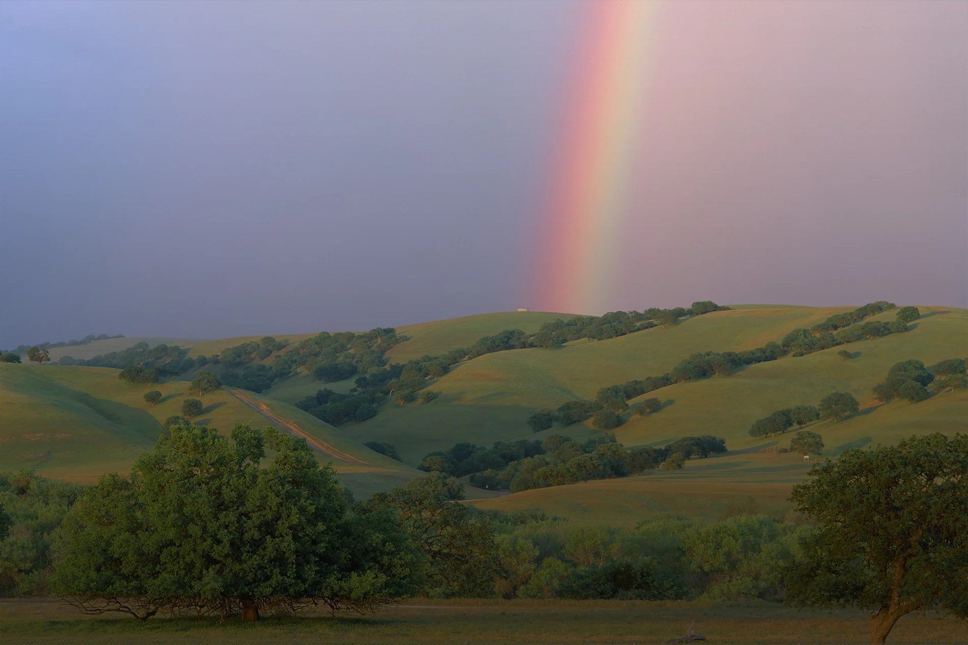 rainbow.jpg