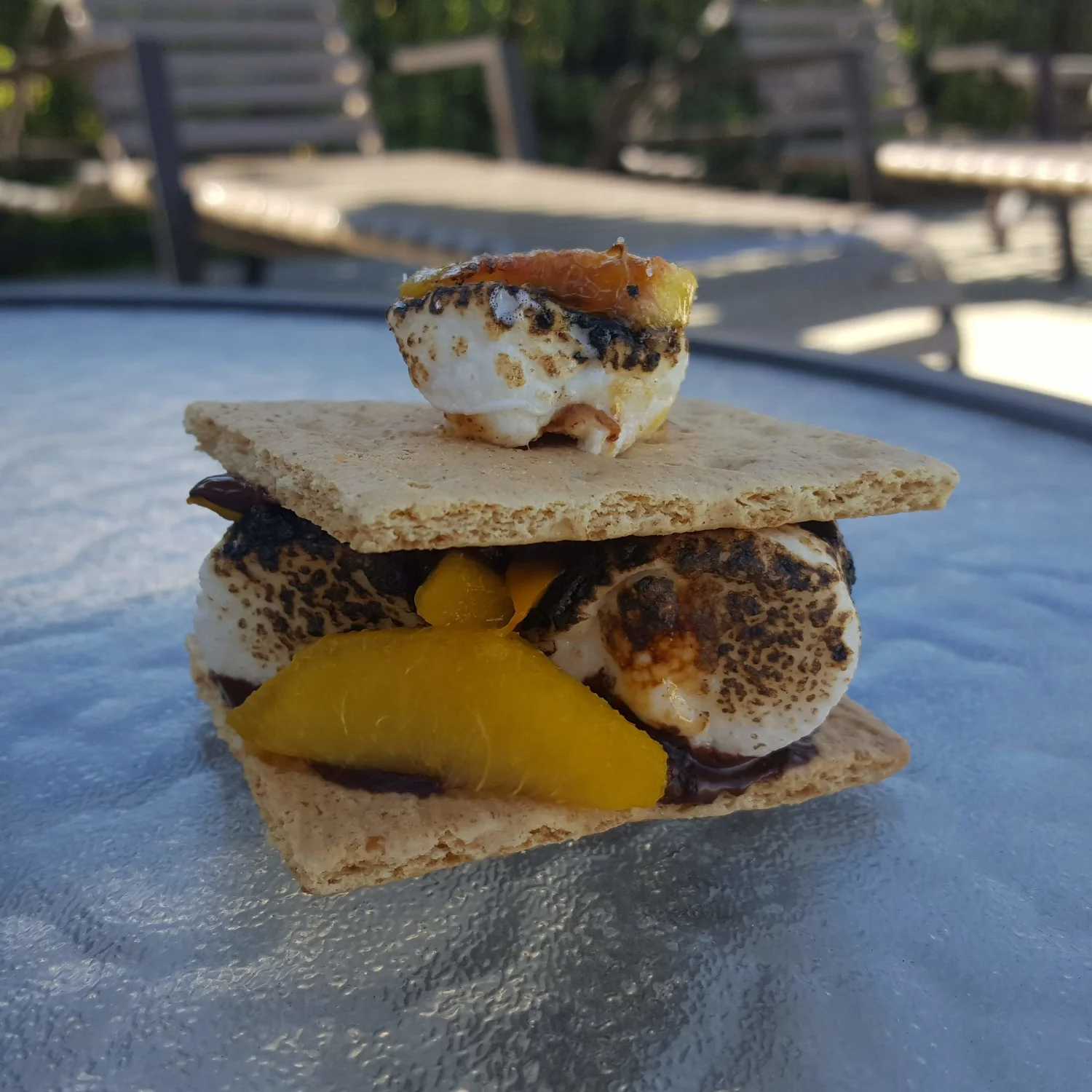14 Gourmet S'mores Recipes — The Sweet Savory Life