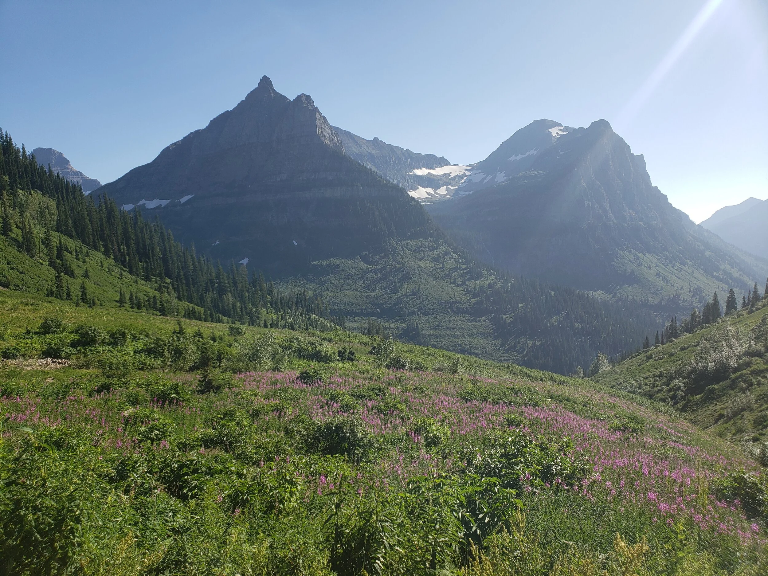 Logan Pass in Going-to-the-Sun Road, Glacier National Park | The Sweet Savory Life