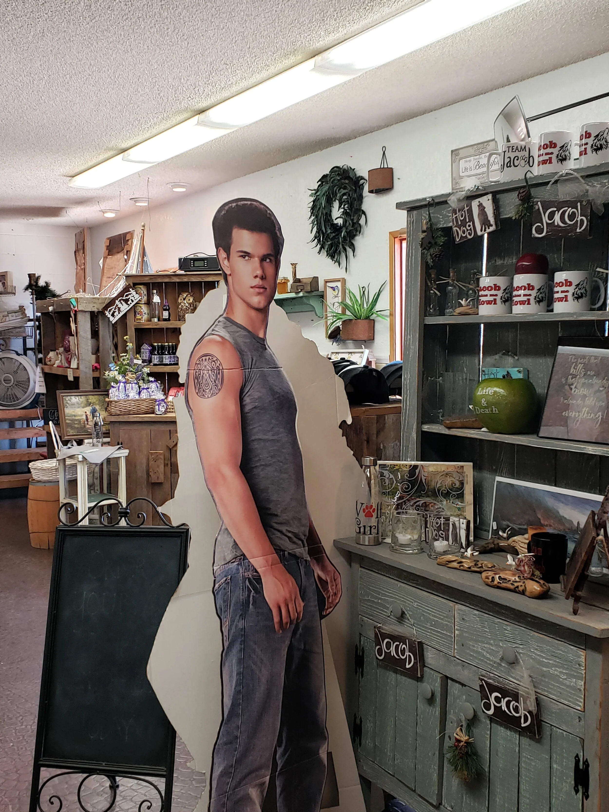 2020 Twilight Tour in Forks, Washington Travel Guide — The Sweet Savory