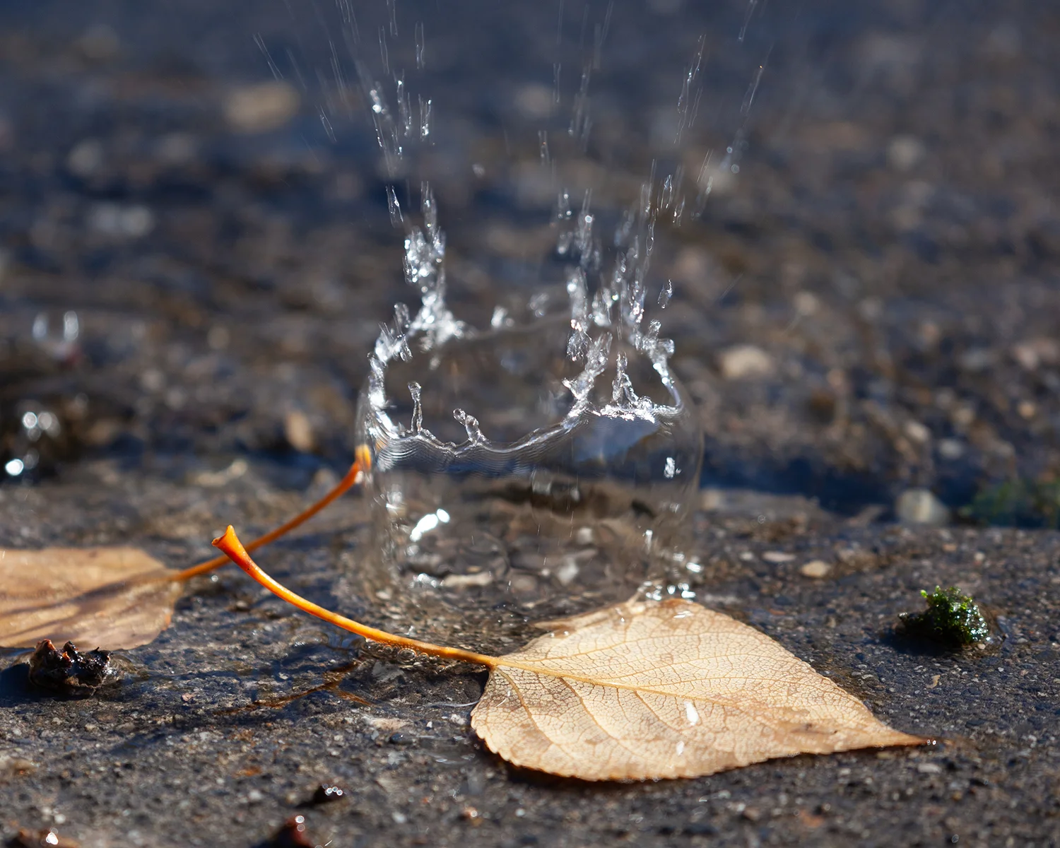 Getting the Drop on Fall