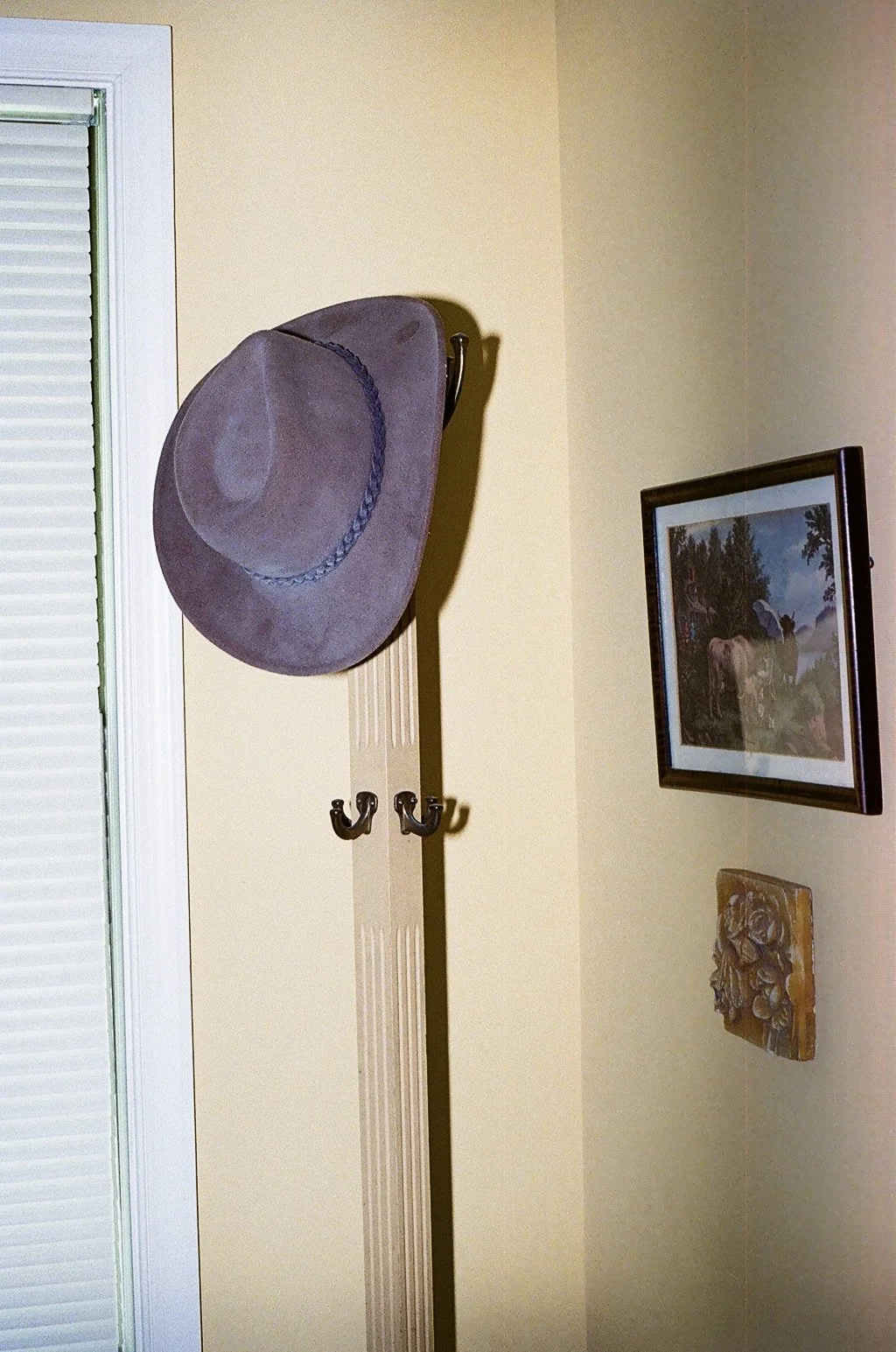 IMG_7337.jpg
