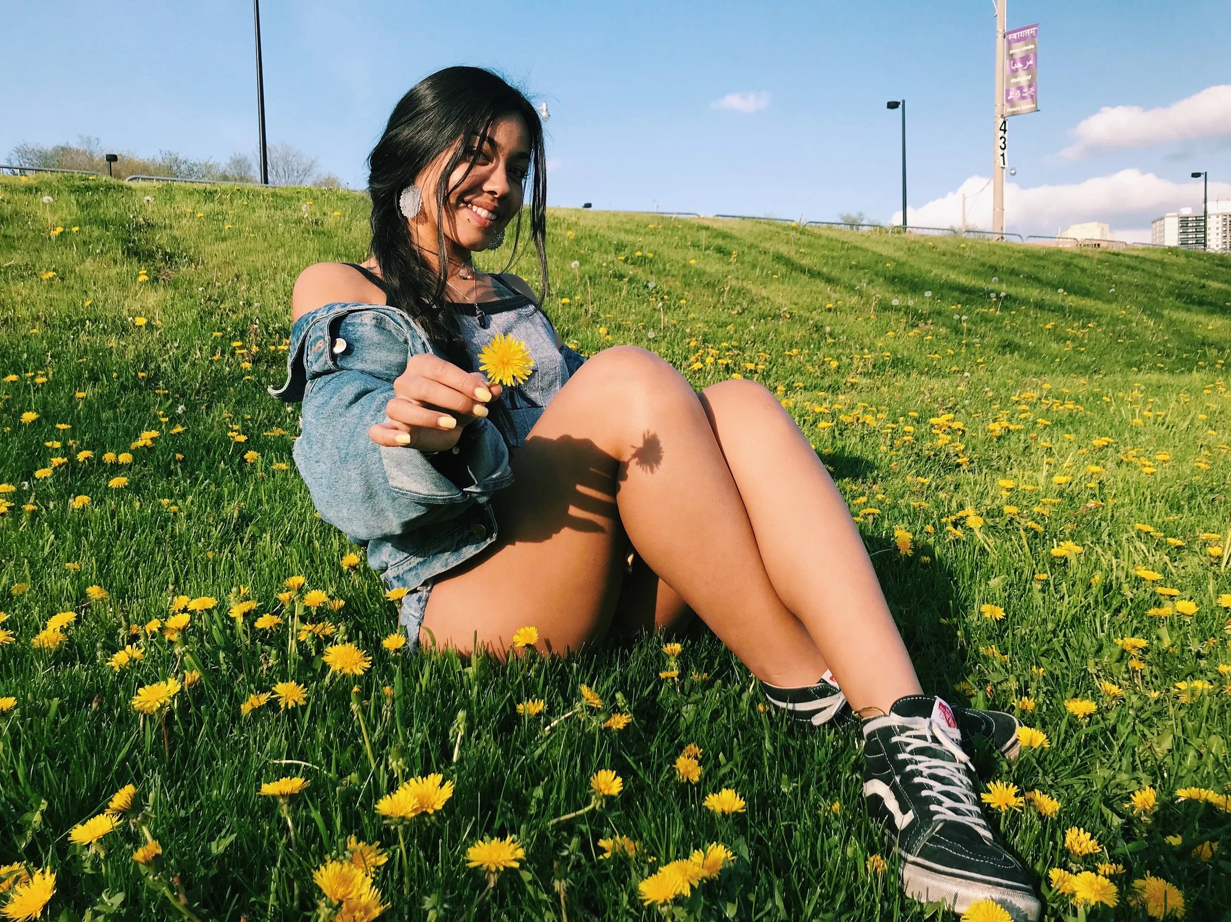 grass.jpg