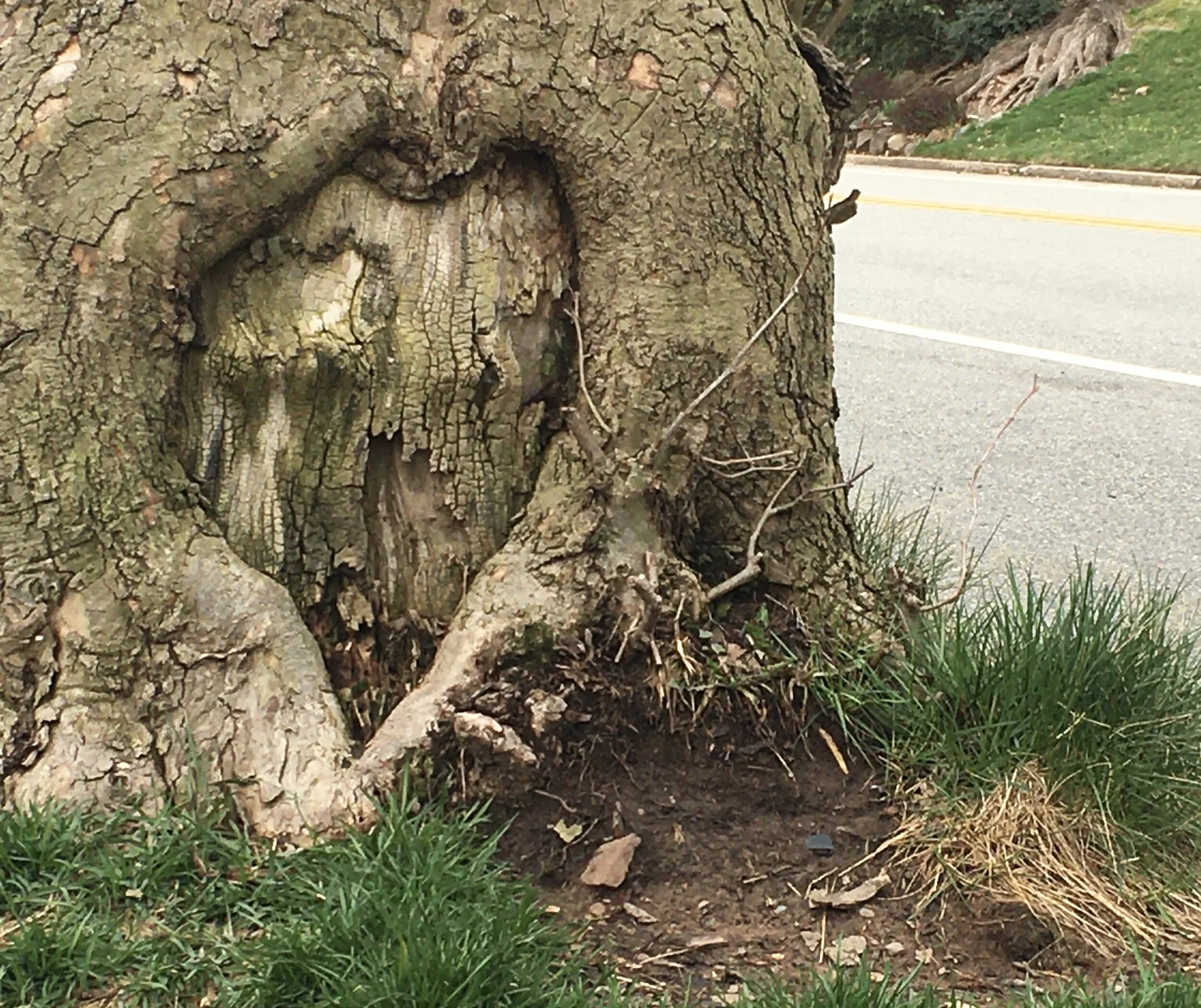 Thank You First Responders