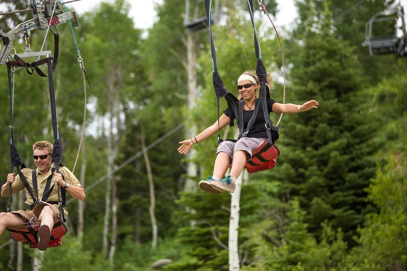 Zipline.jpg