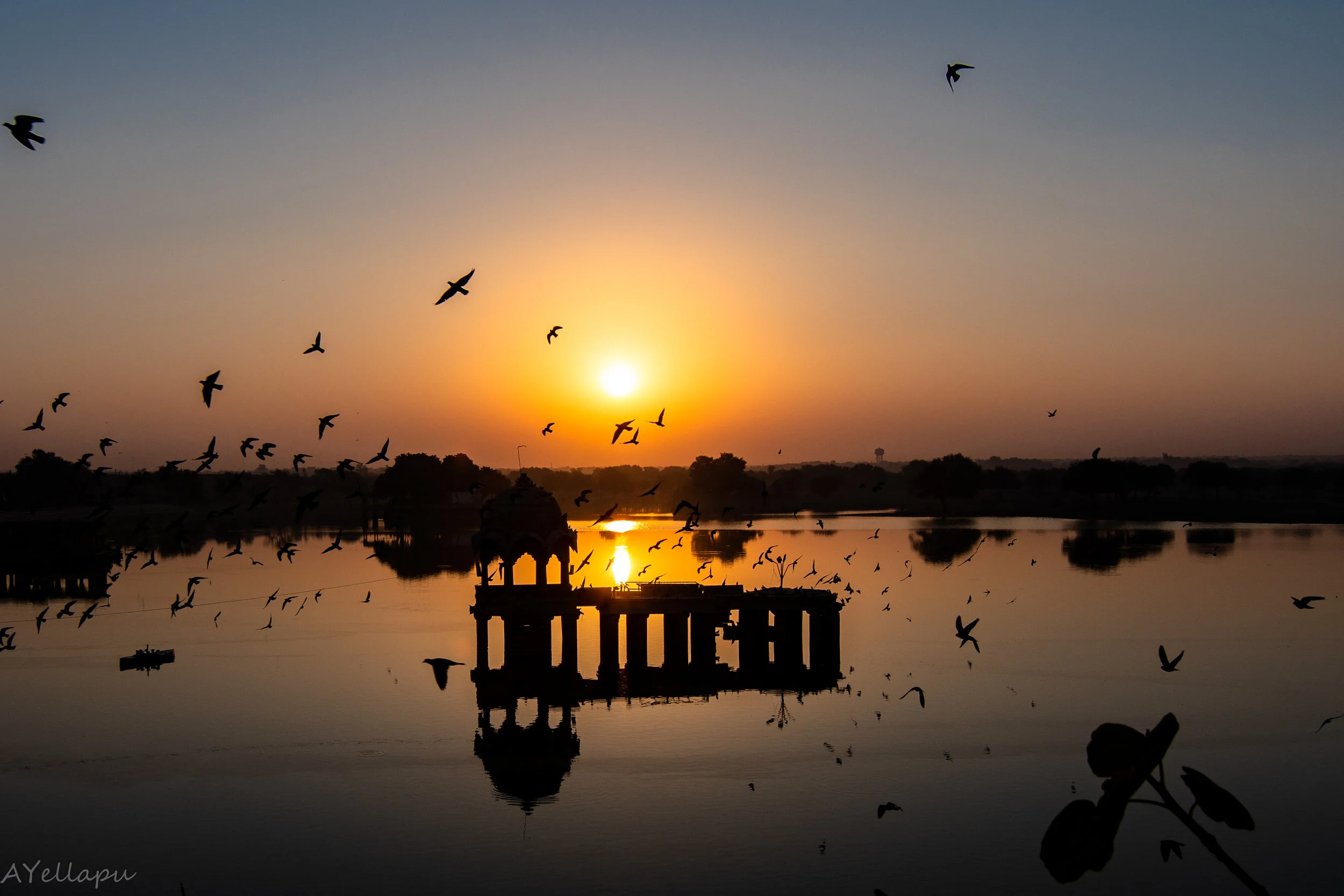 Jaisalmer_extra2_mar2019 (1 of 1).jpg