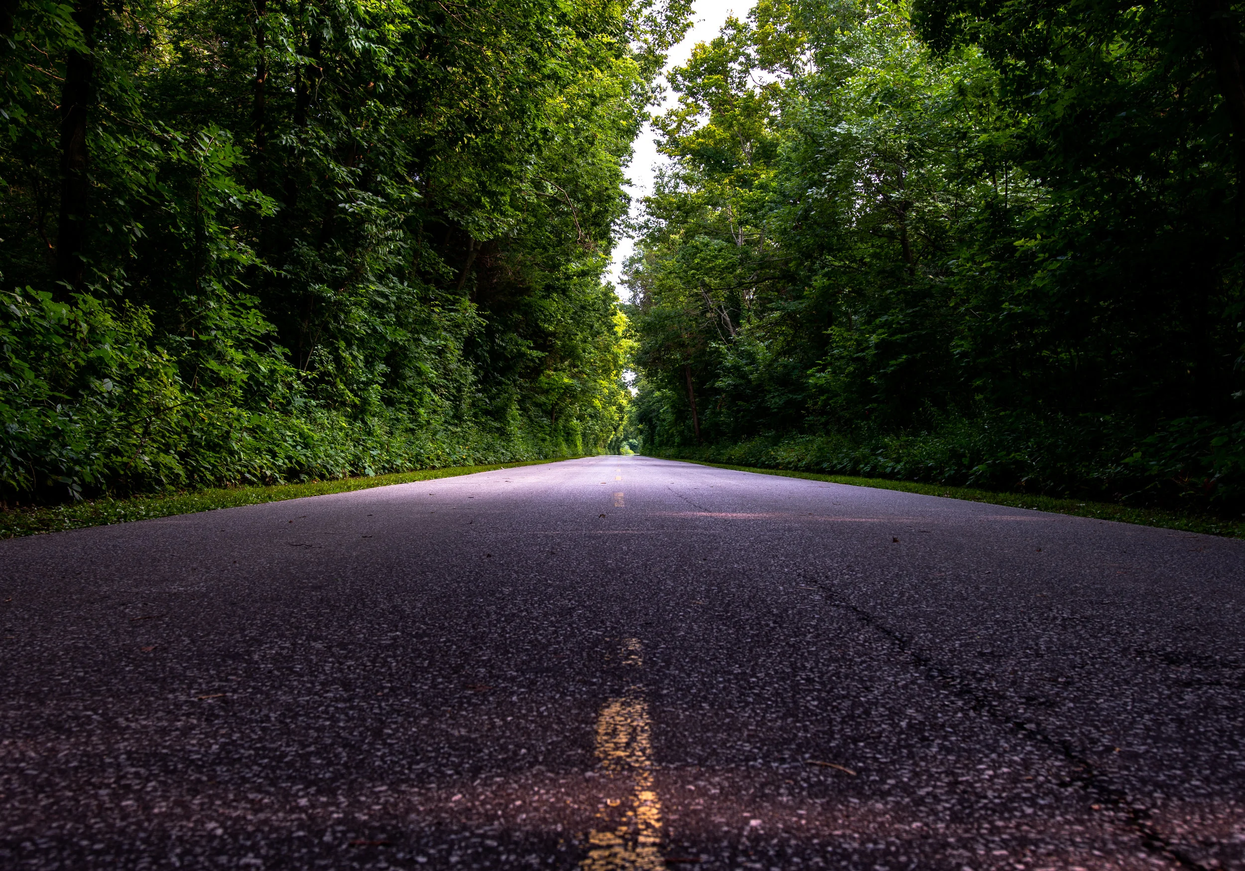 point pelee (19 of 1)-2.jpg