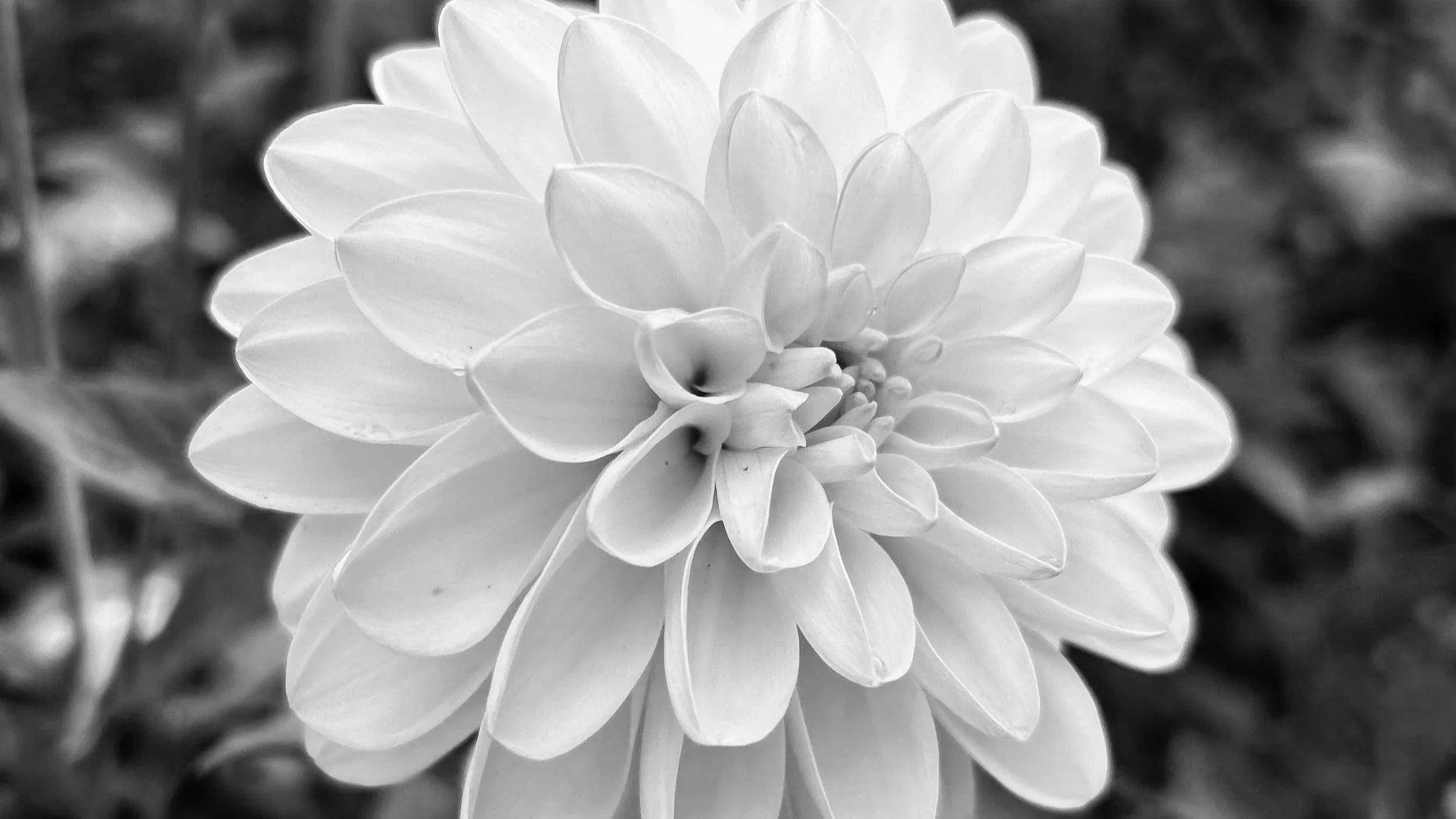 The Real Work Framework - and how I think about growth (Part One)