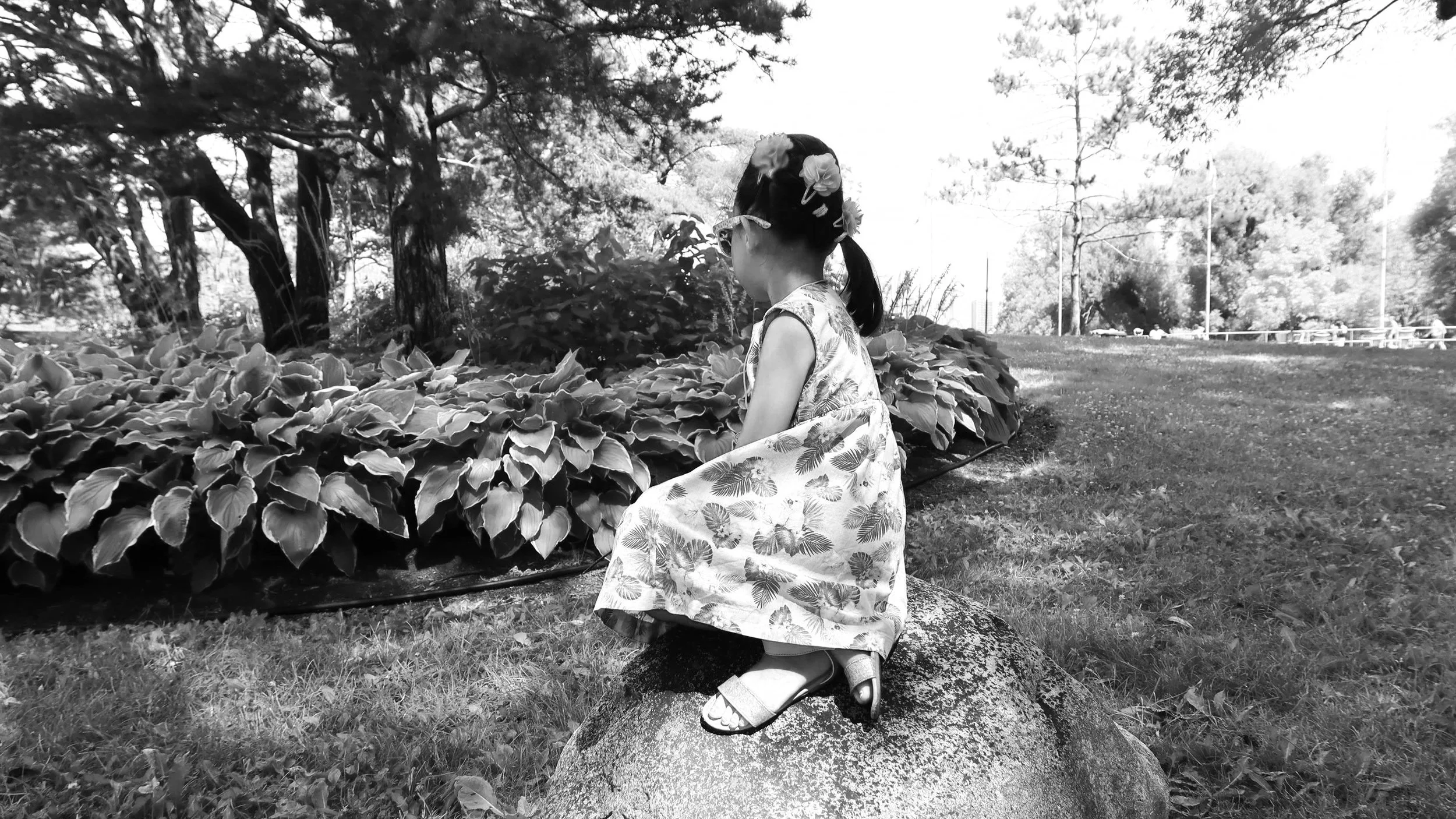 What I am still learning