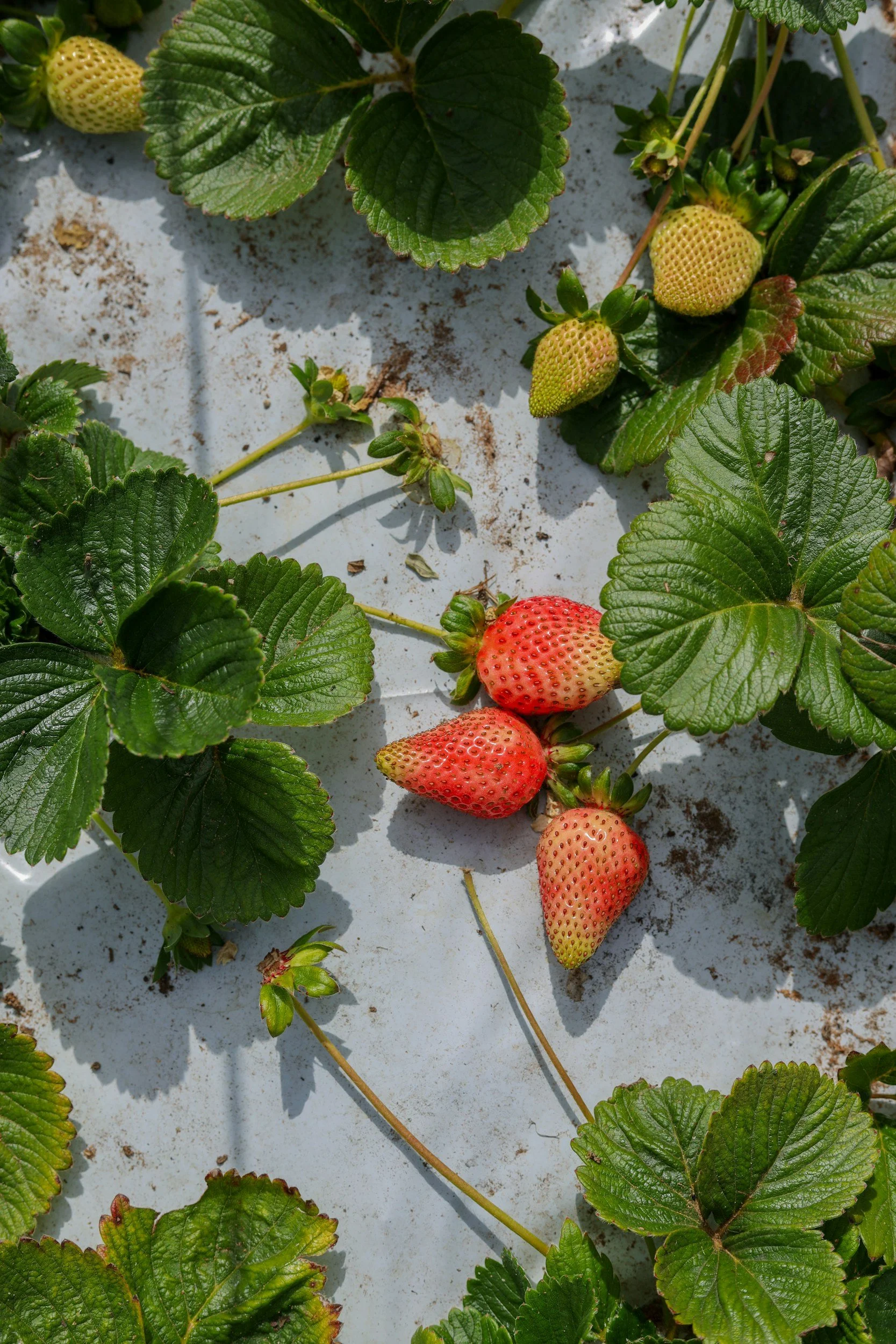 unsplash-image-yk5f1zvD2qU.jpg