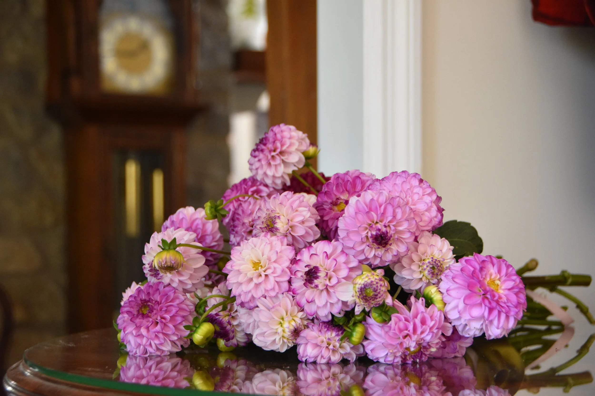 DSC_5632.JPG