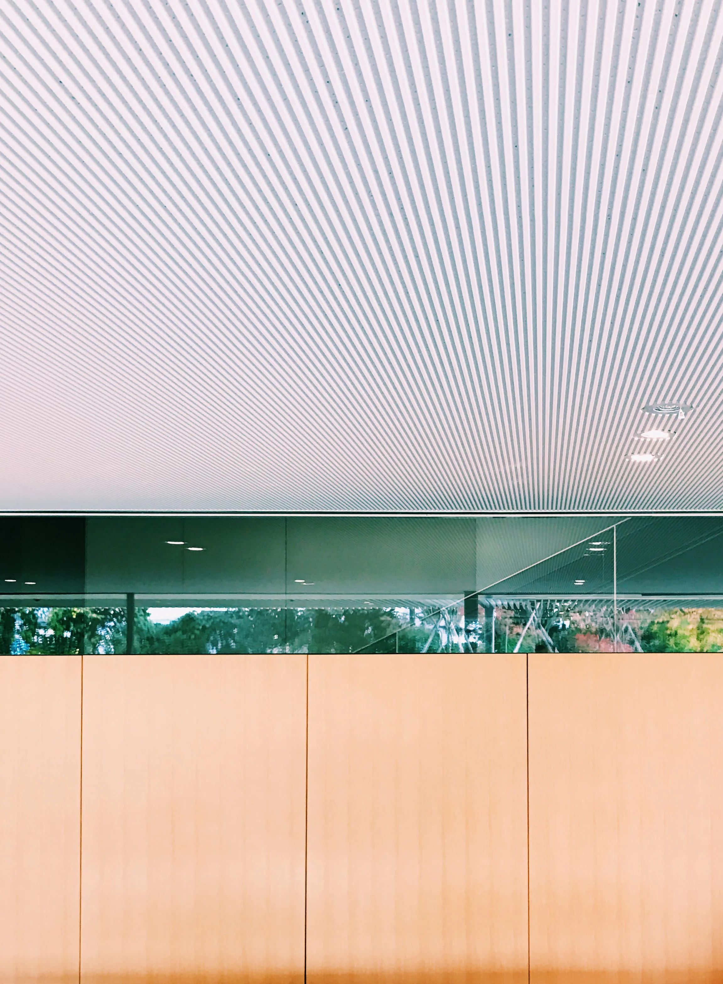Photo Nov 10, 12 46 45 PM (2).jpg