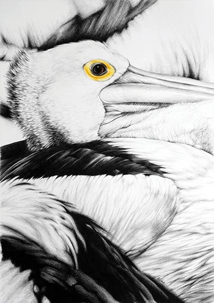 Pelican Group