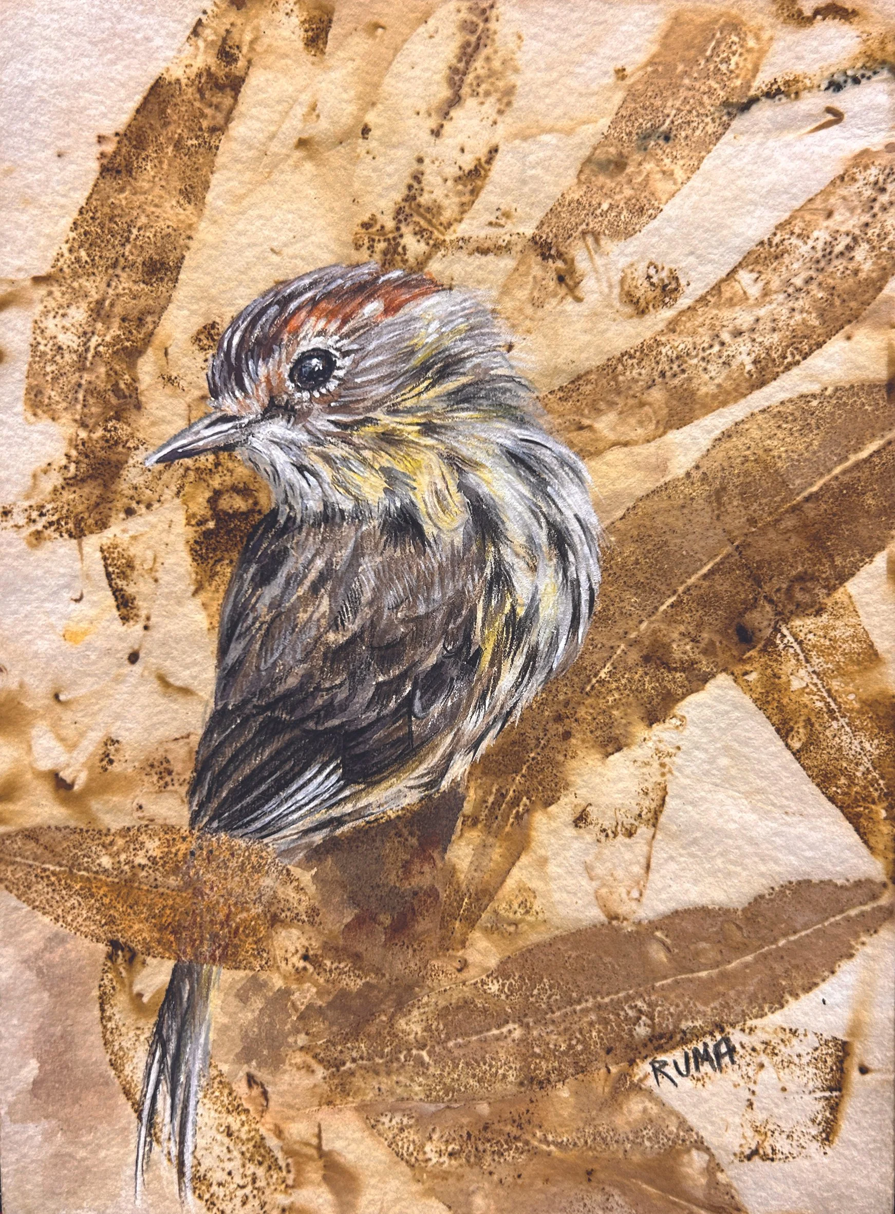 Speckled Warbler CARD CMYK.JPG