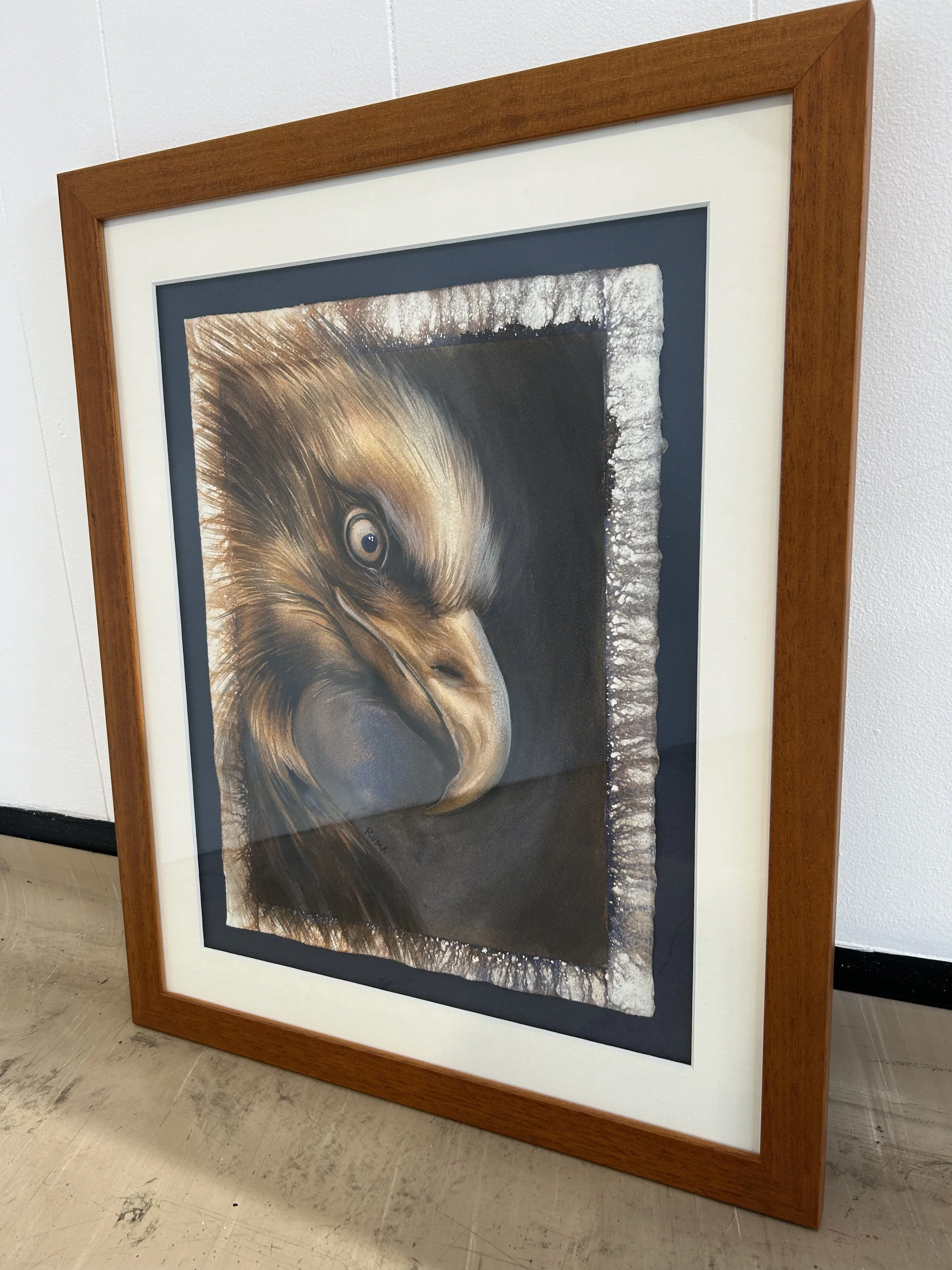 eagle in watercolour.jpg