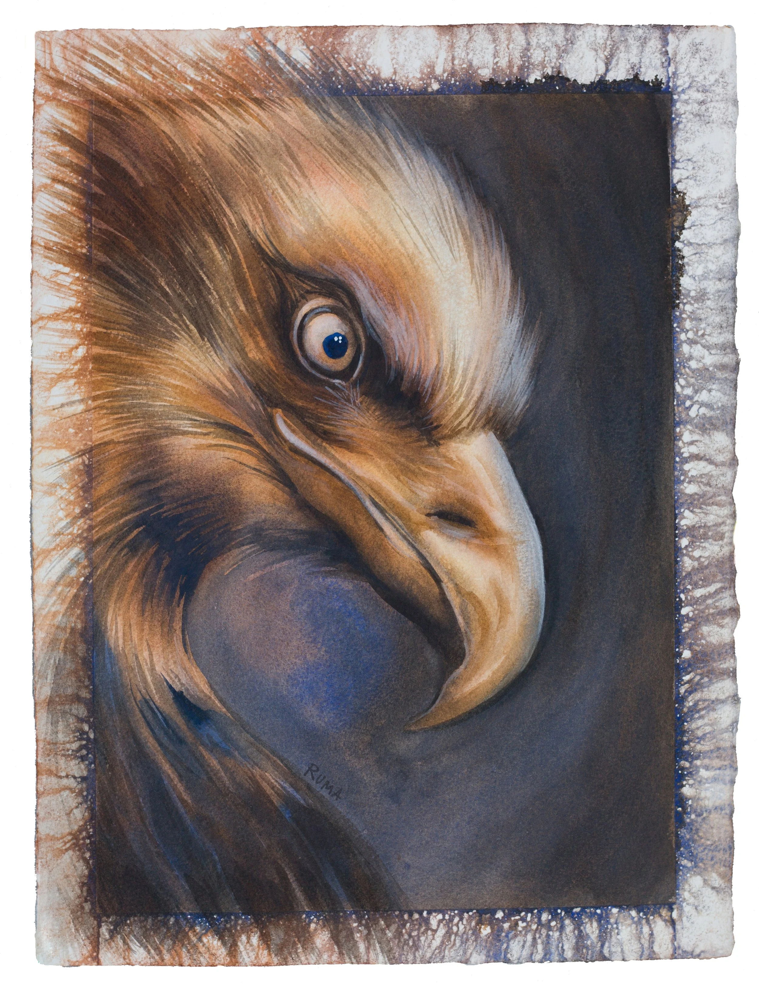 Eagle Adj.jpg
