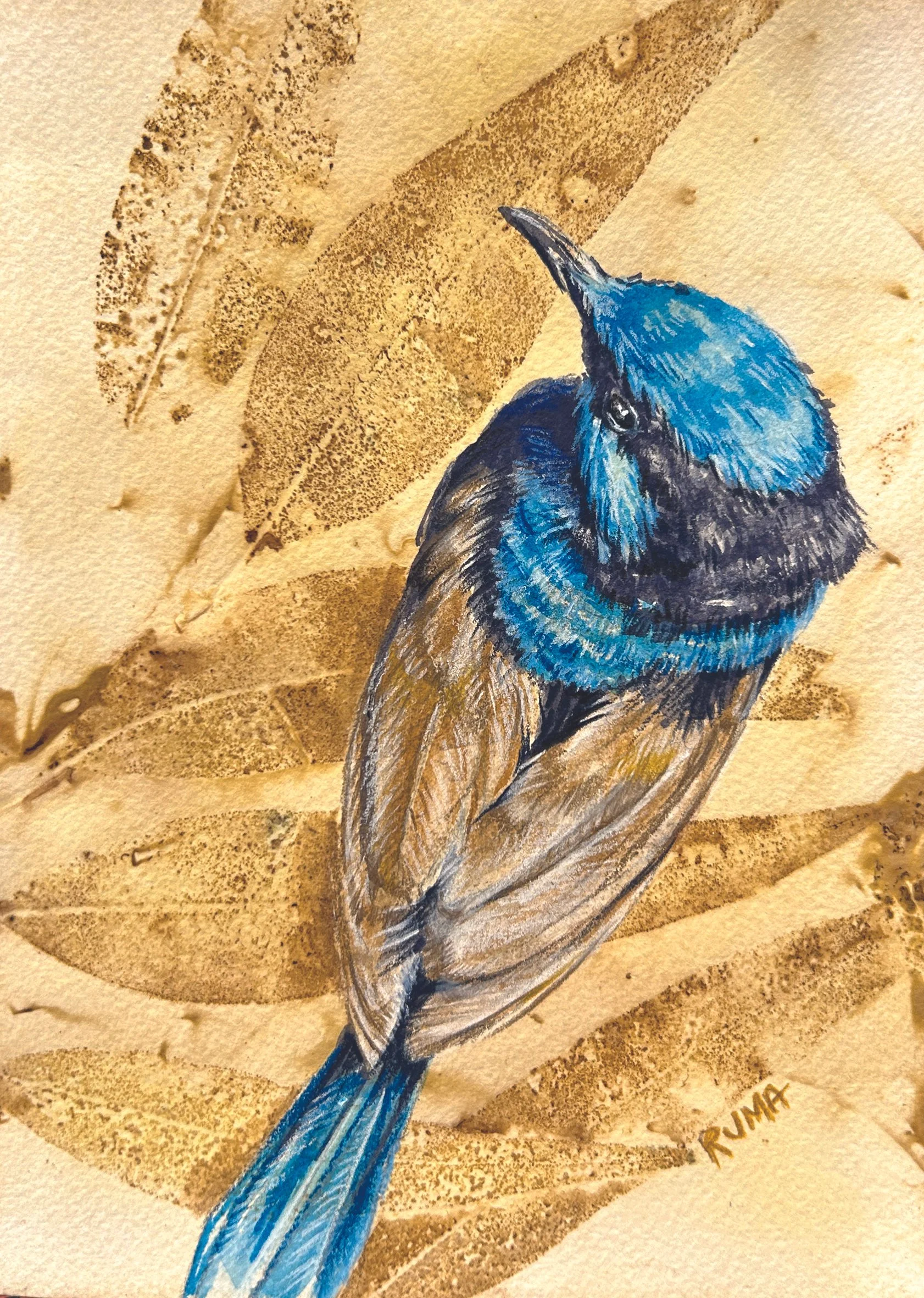 Above the Wren