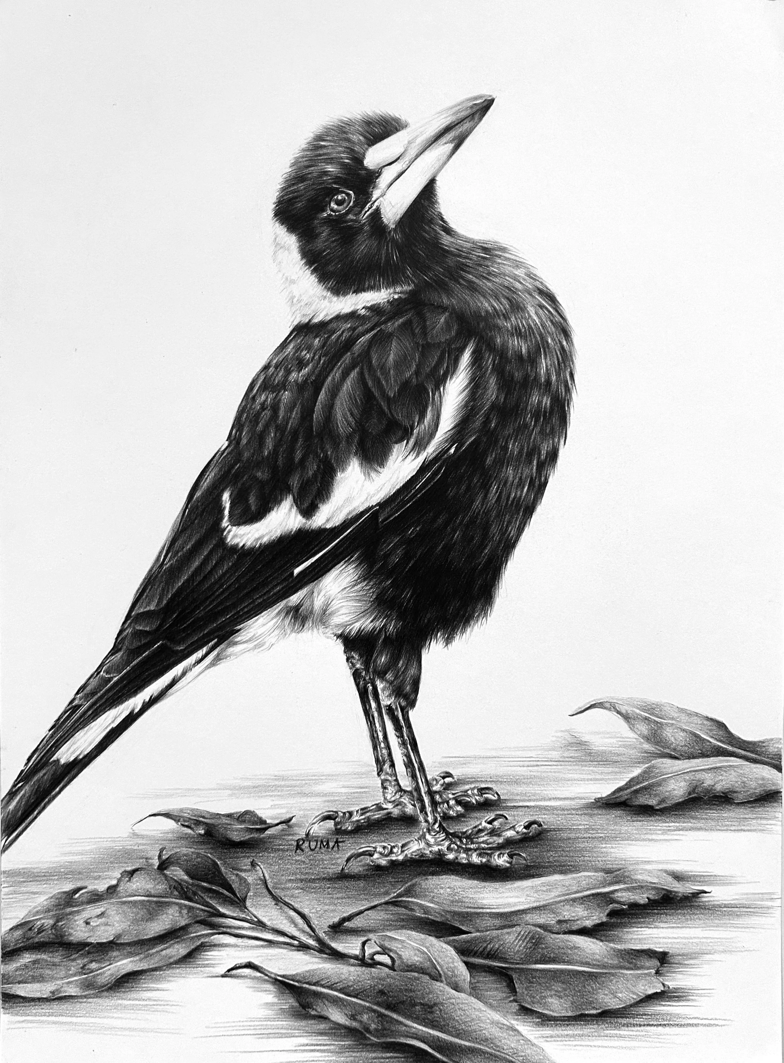 Feathered Supermodel