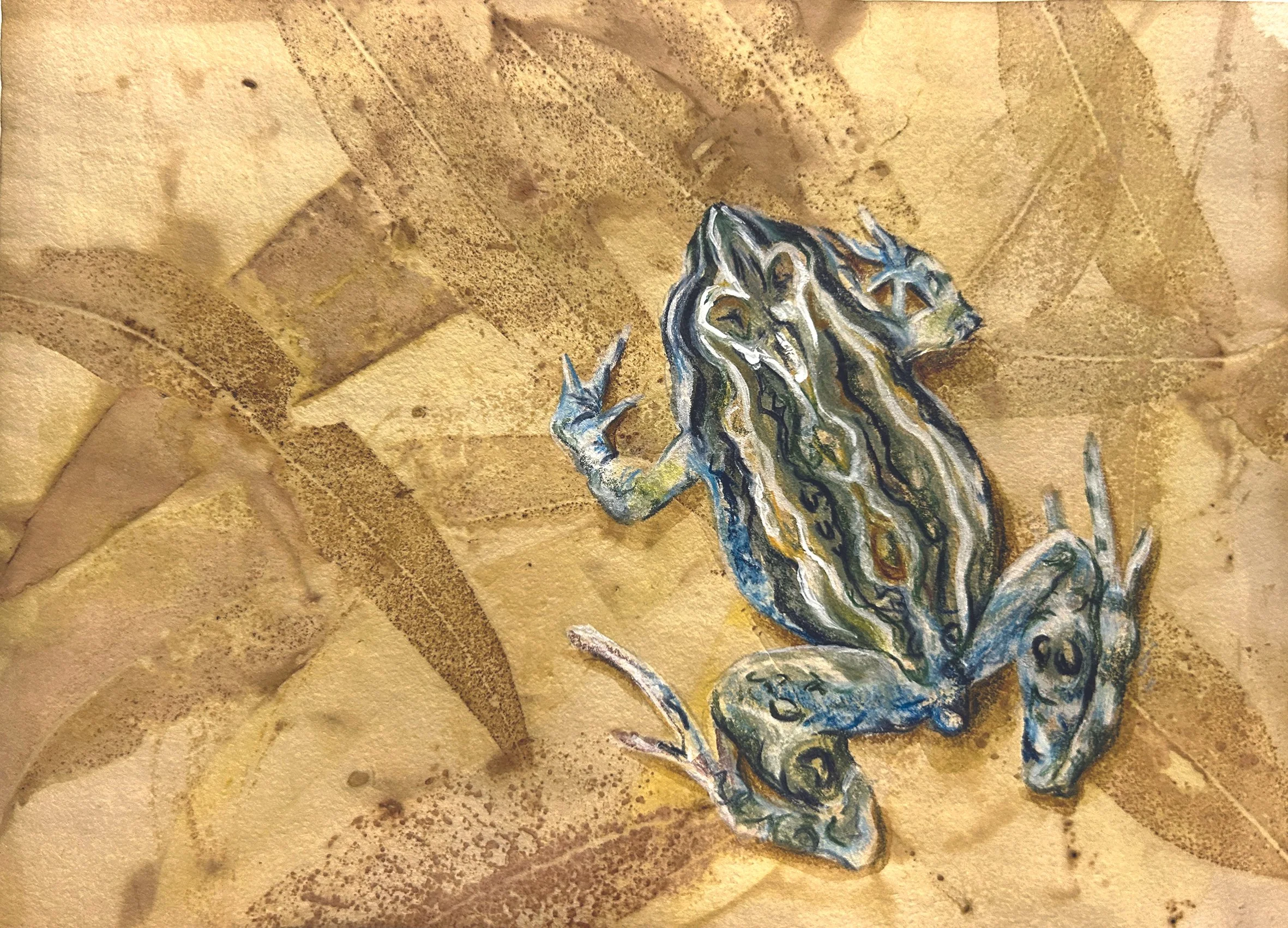Frog on Eco CARD CMYK.JPG