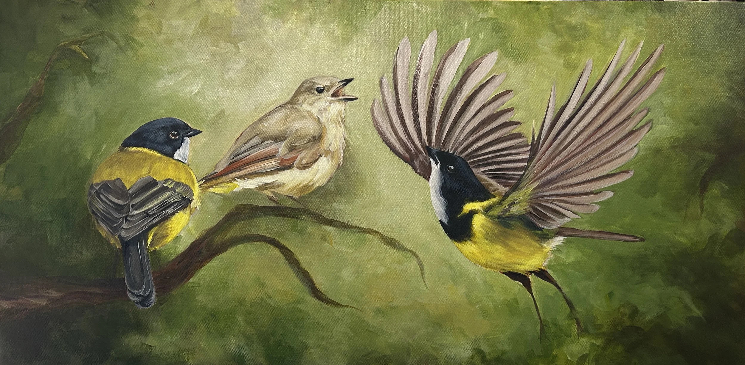 Golden Whistler.jpg