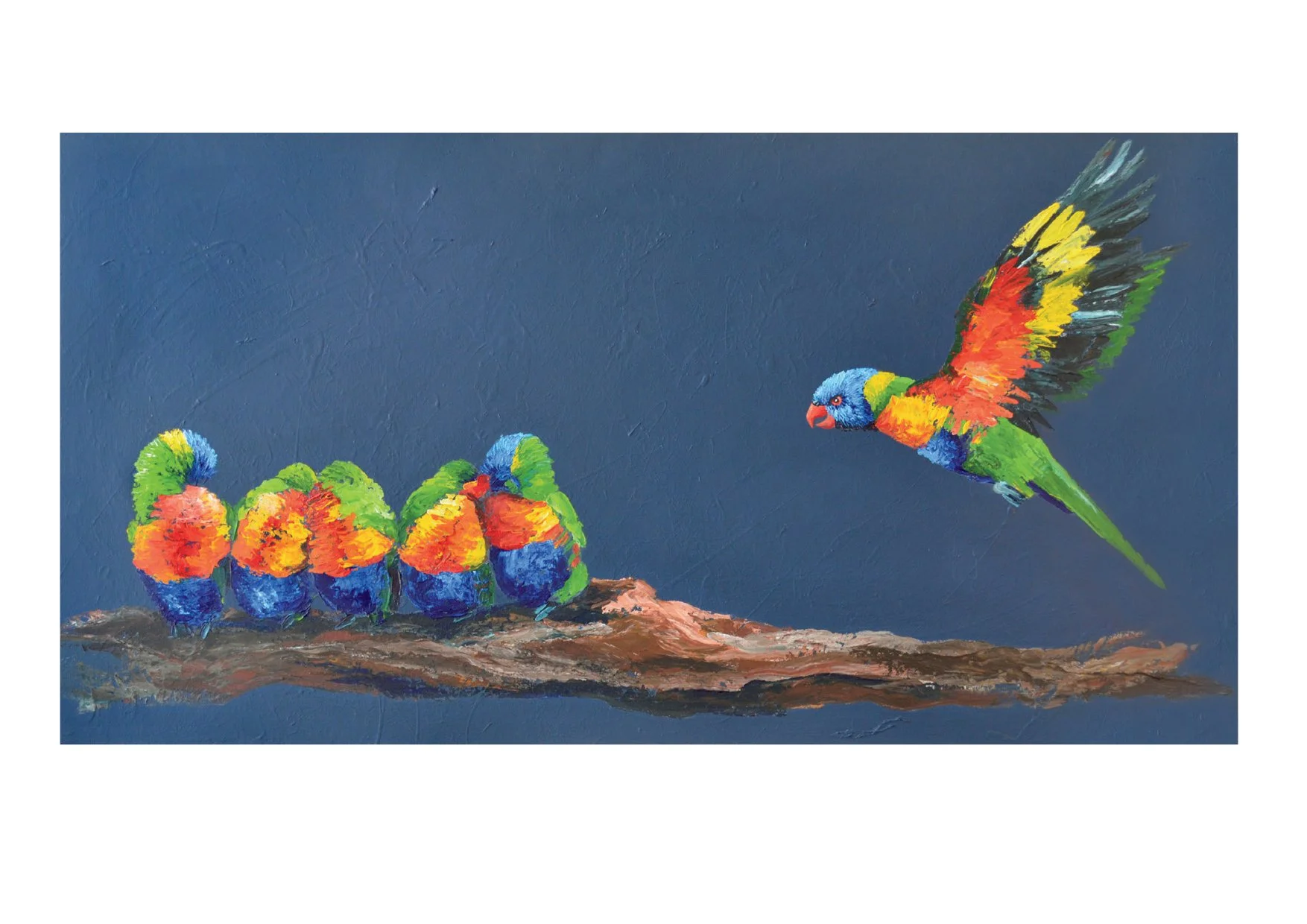 6 lorikeets card.jpg