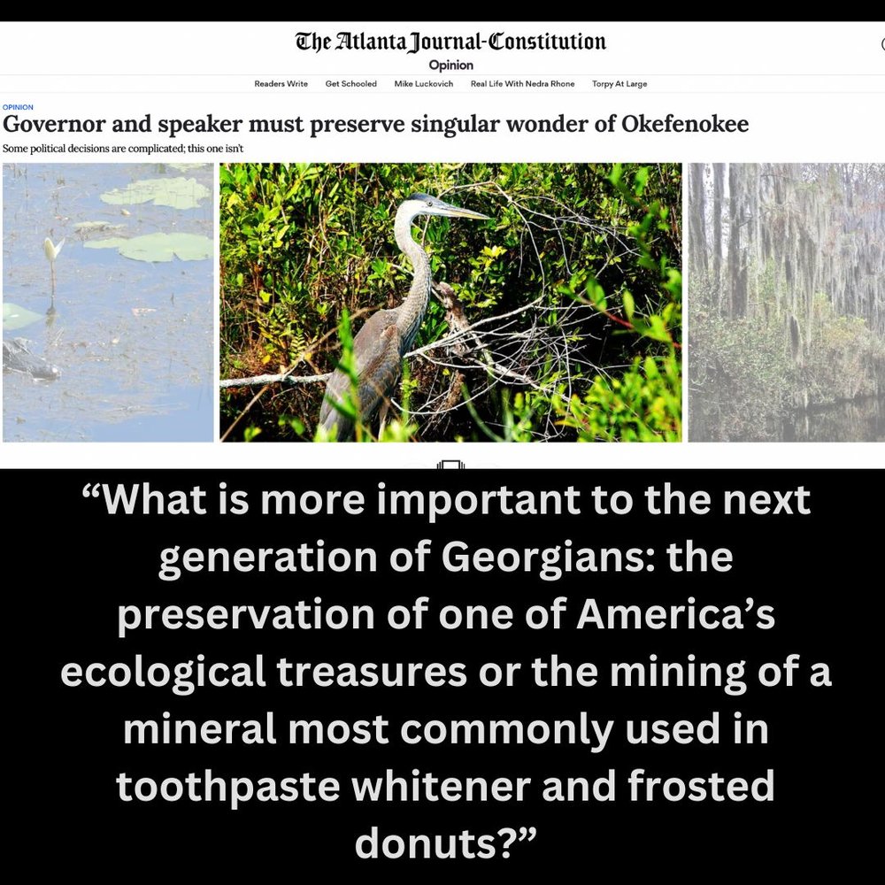 Kemp and Burns should provide bold leadership and compel a pause in the mining plan to allow the Legislature, conservation groups and private foundations to save and preserve the swamp, a sprawlin.jpg