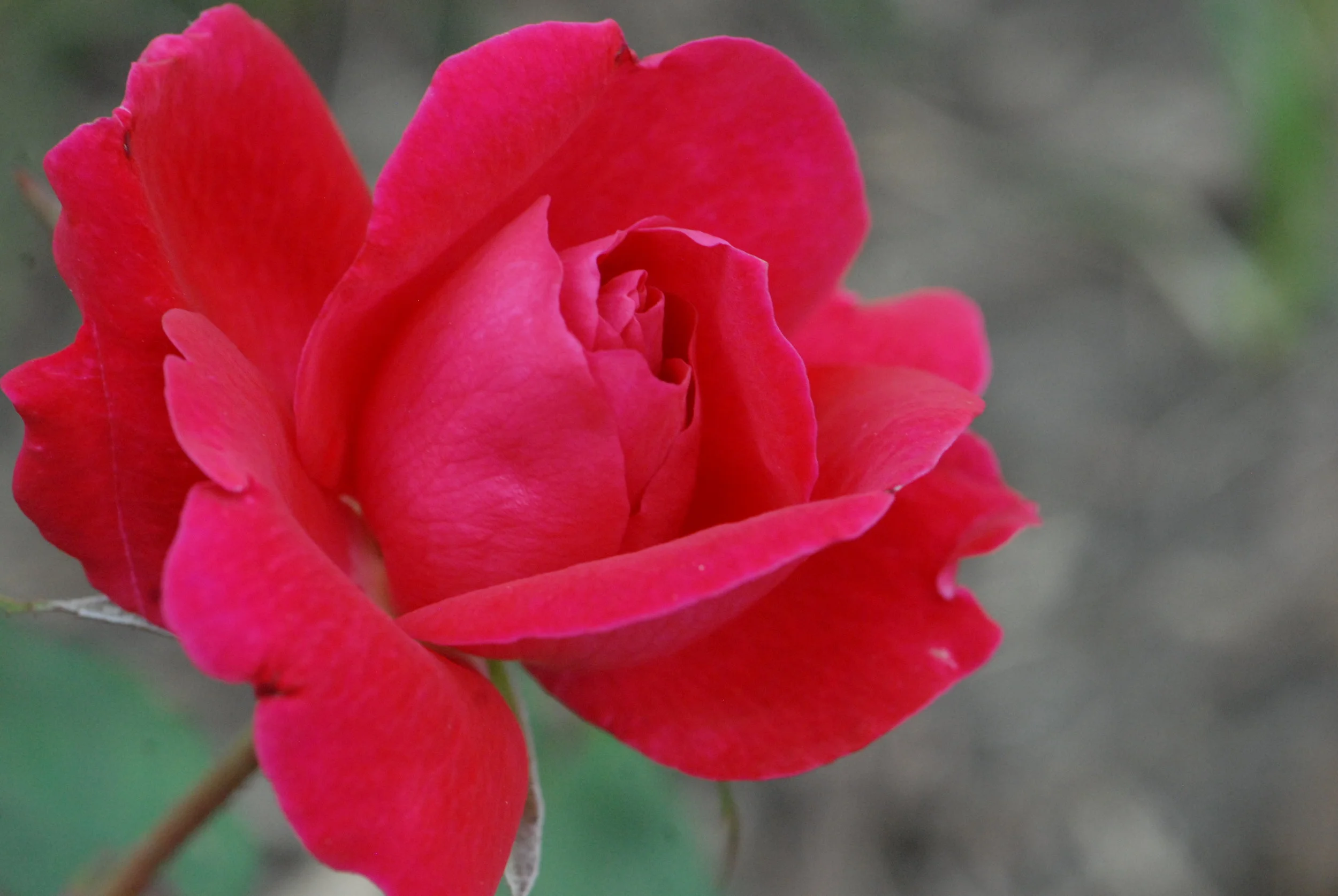 DSC_0011.JPG