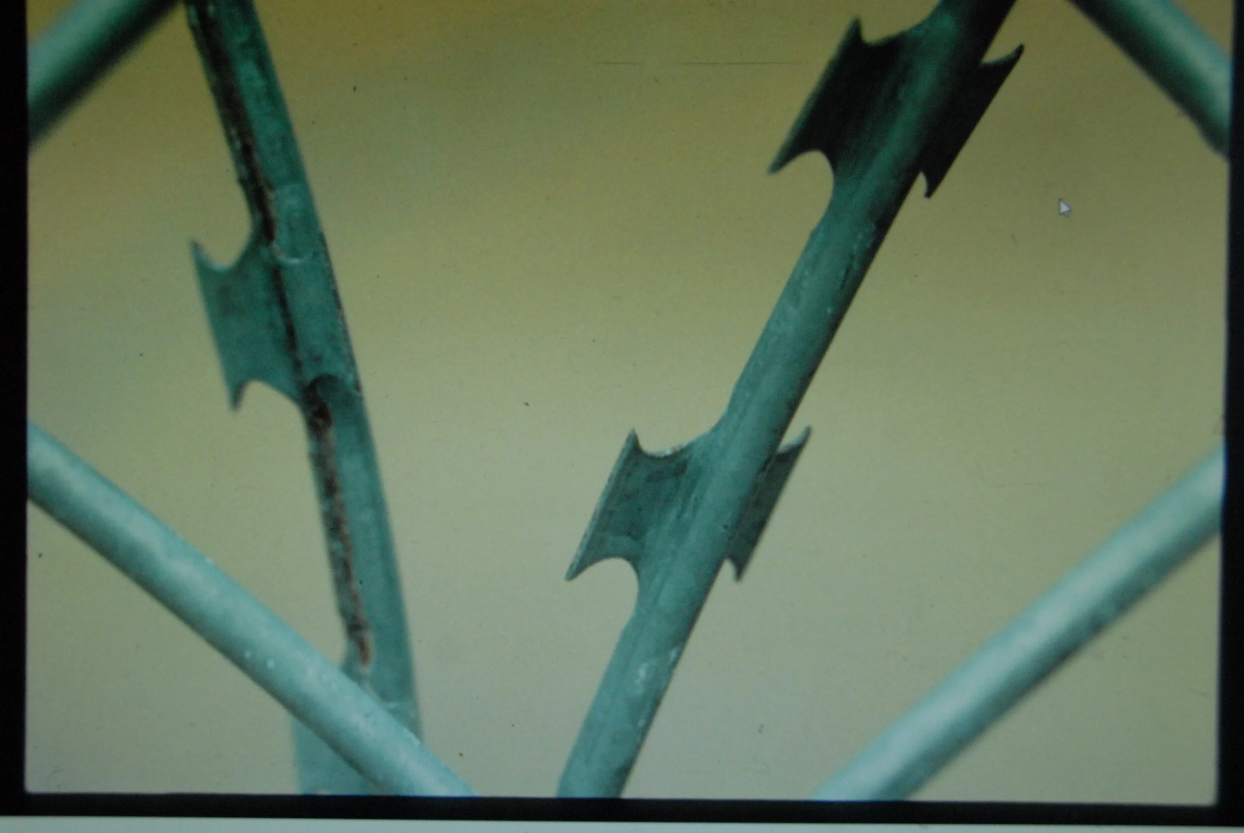 Protests, Police, Damage, &amp; Infiltrators