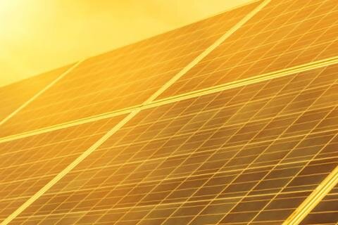Yellow Wood Solar and Other SER Project Updates