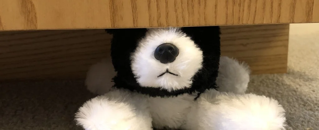 http___s3.amazonaws.com_appforest_uf_f1552257185358x304842326057749300_underdog%20paws%20out%20no%20eyes.jpg