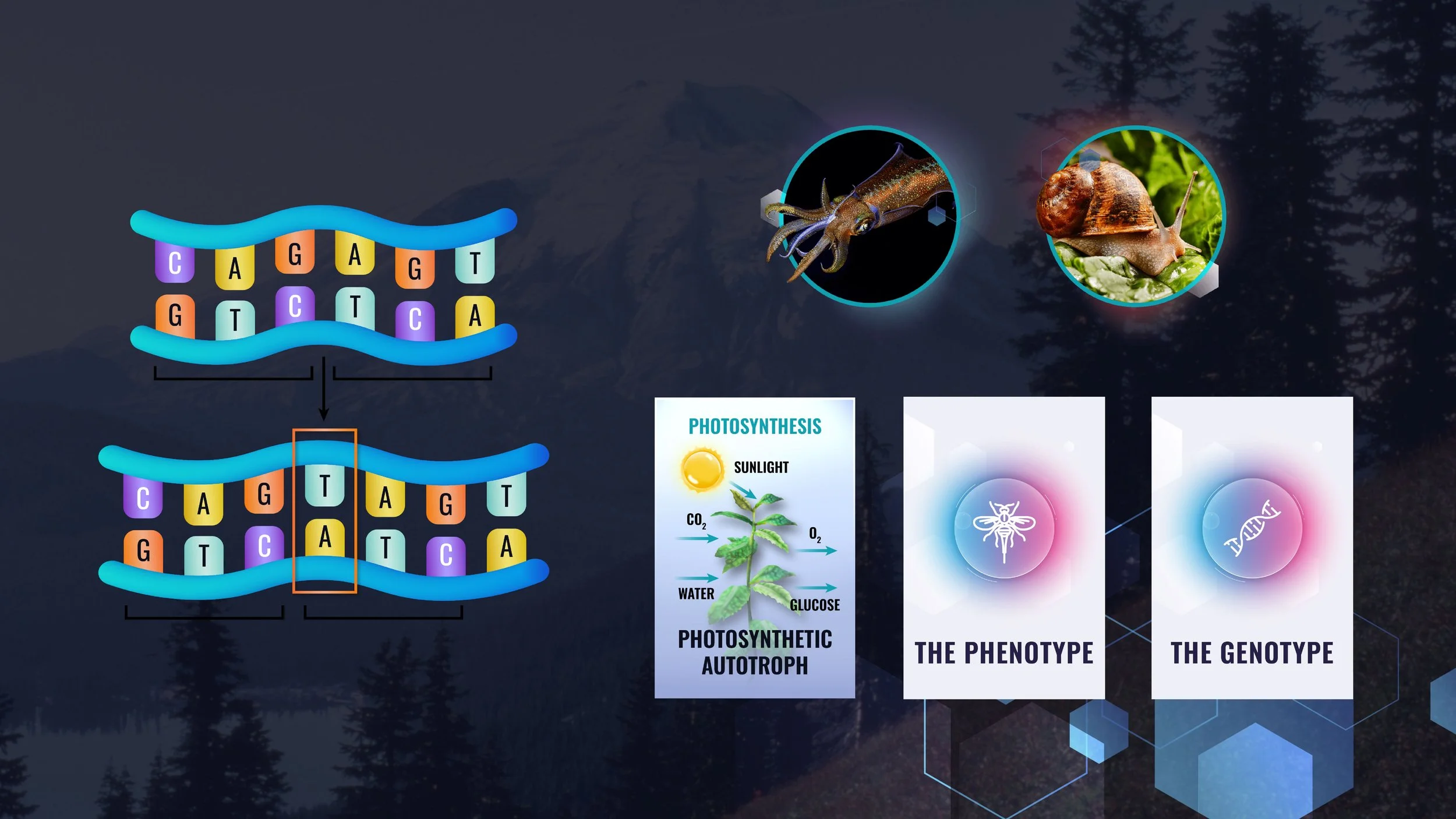 ASU PREP Portfolio_ASU_BIO_1.jpg