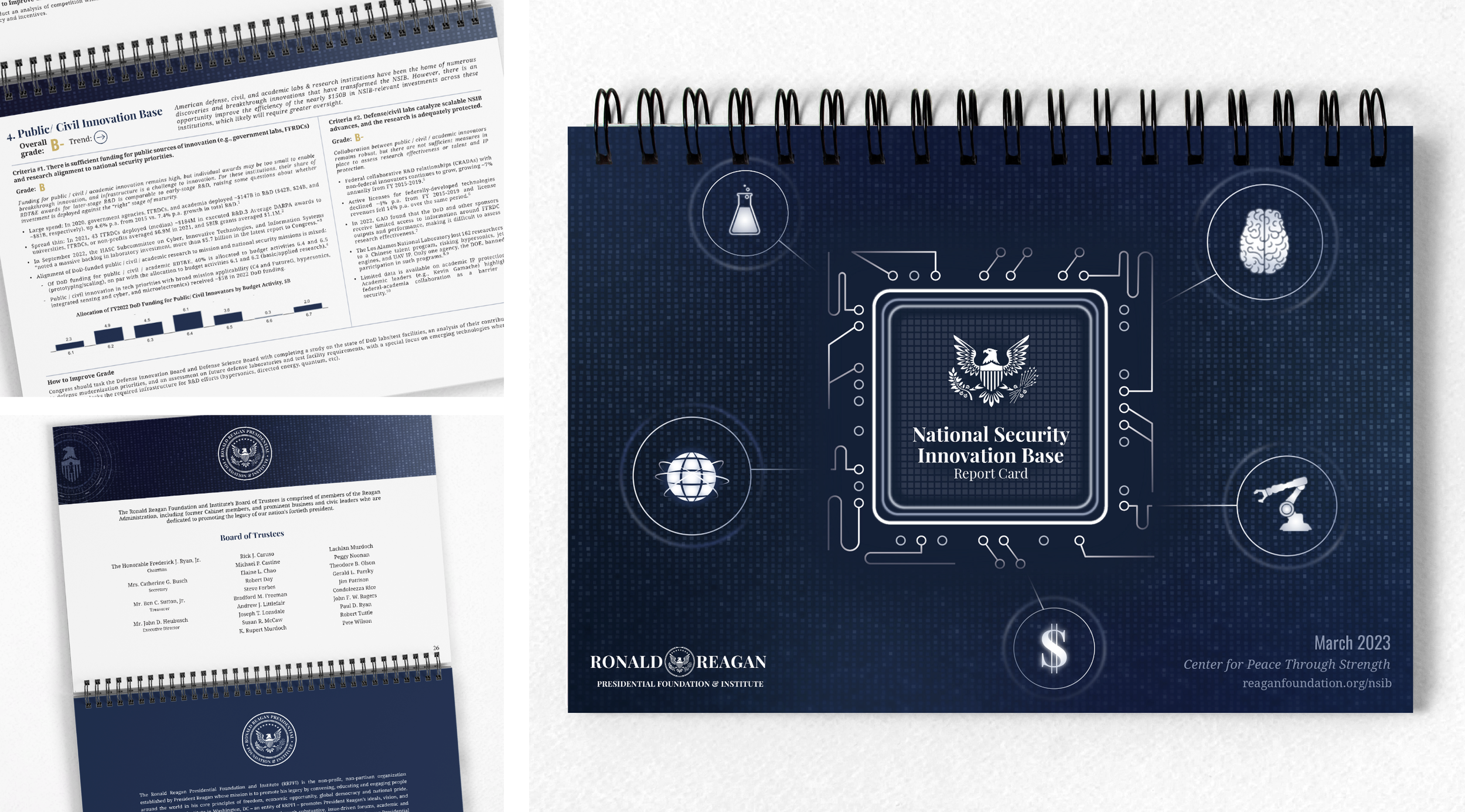 RRI_Mockup_NSIB_1.png
