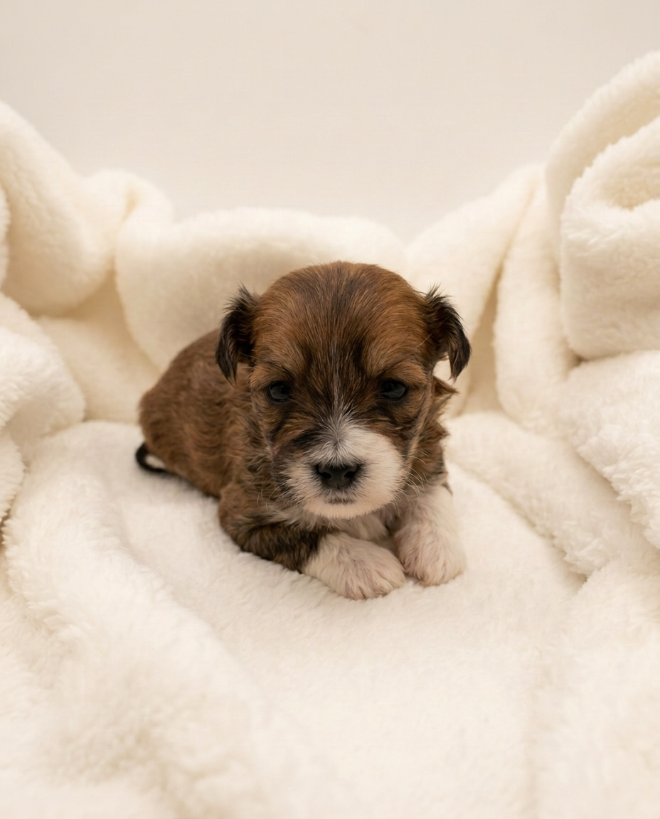 Photoroom_20260810_133022.png