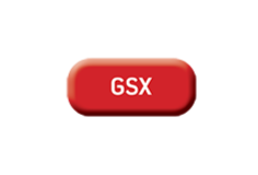 GSX+Web+Button.png