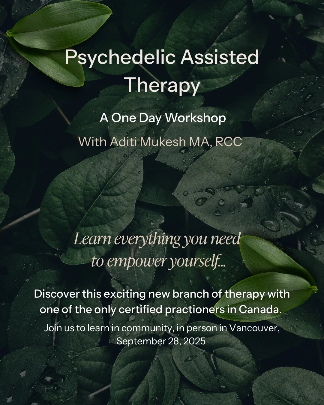 Workshop on Psychedelic Assisted Therapy