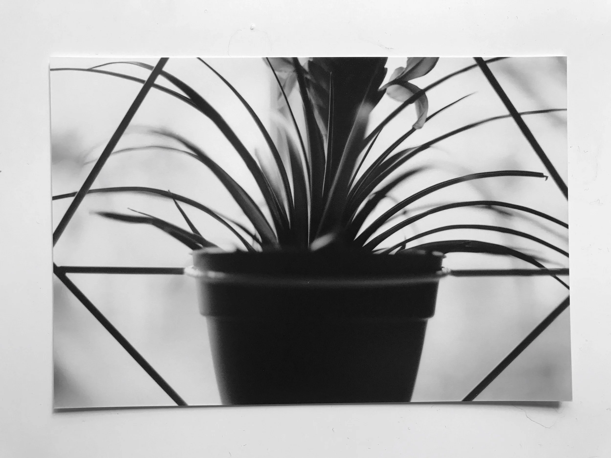 Image from iOS (3) 2.jpg