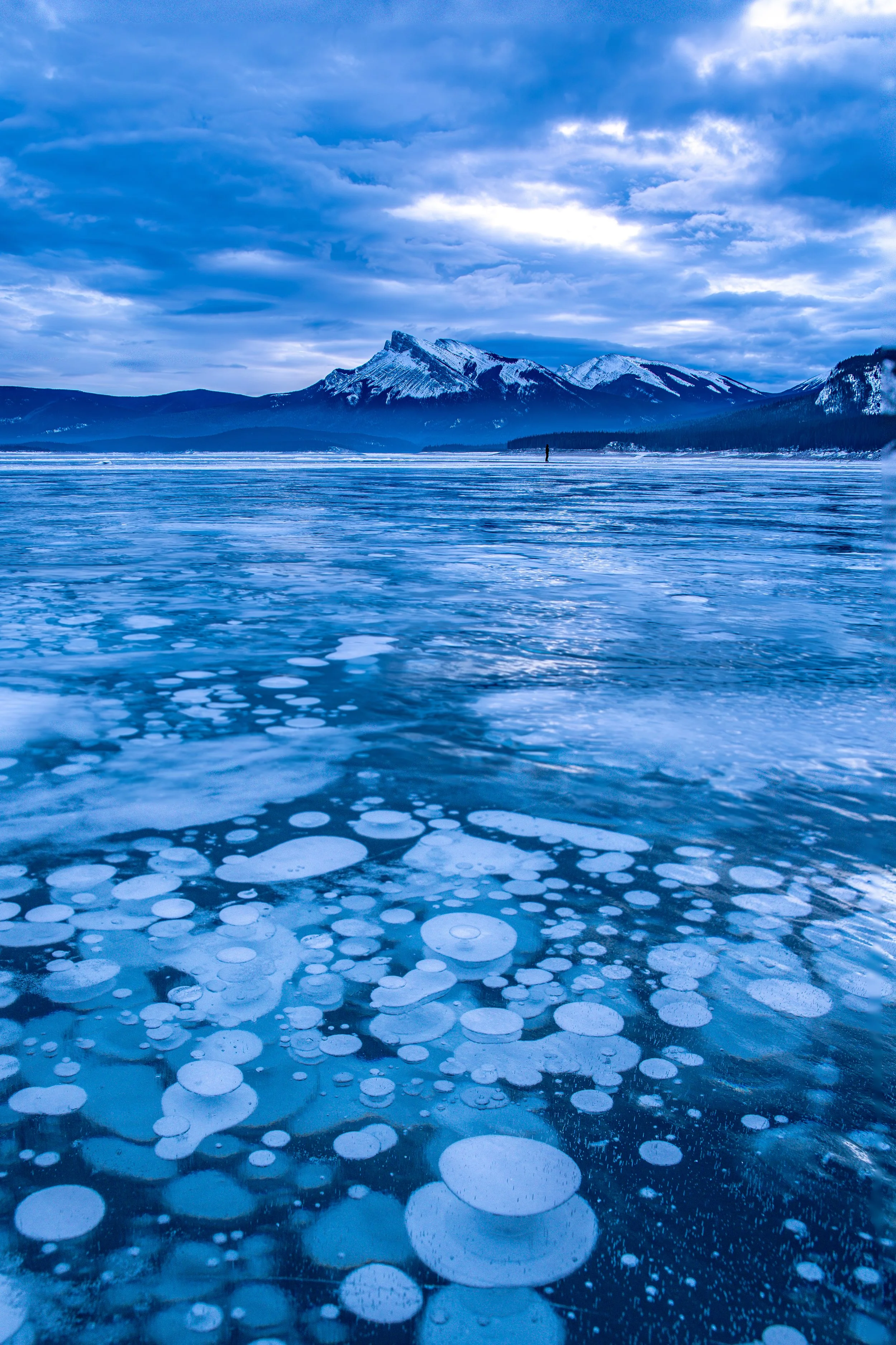 ice bubbles of Abraham lake