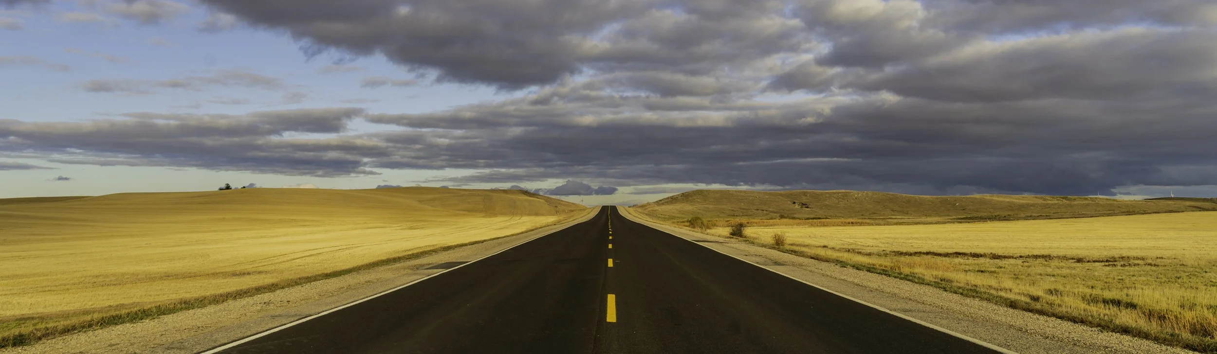 lead the way 12x36.jpg