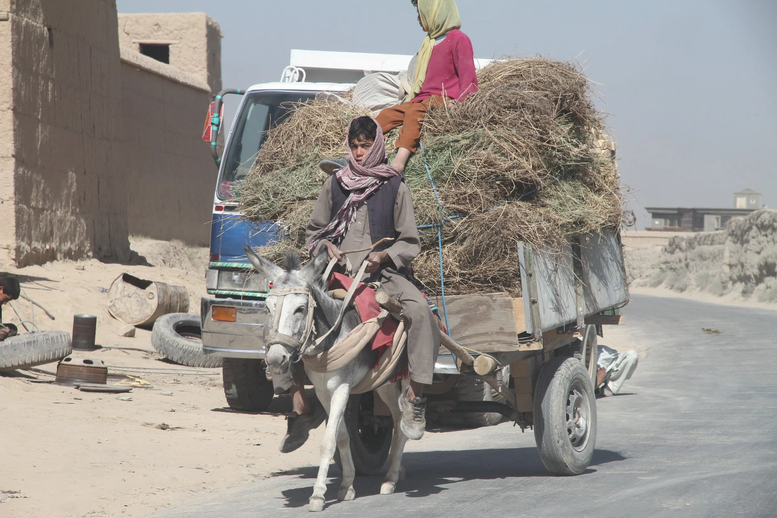 A young man riding a donkey on a dusty road, pulling a small wagon loaded with dry branches and a person sitting on top. The scene appears to be in a rural or desert area with simple buildings and scattered tires nearby.