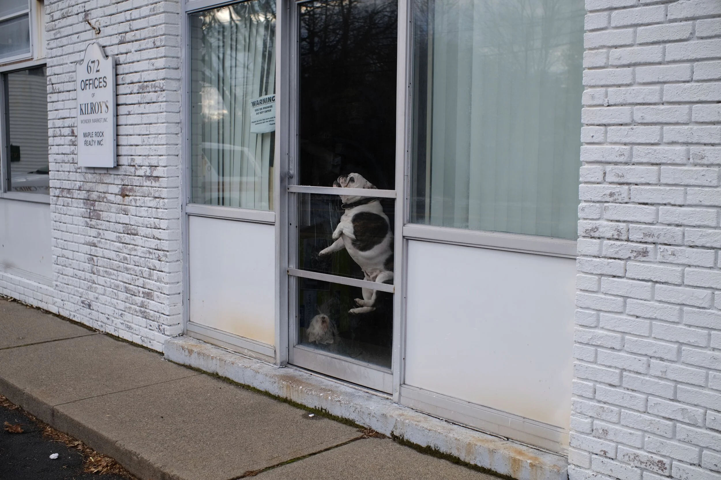 DSCF9284.jpg