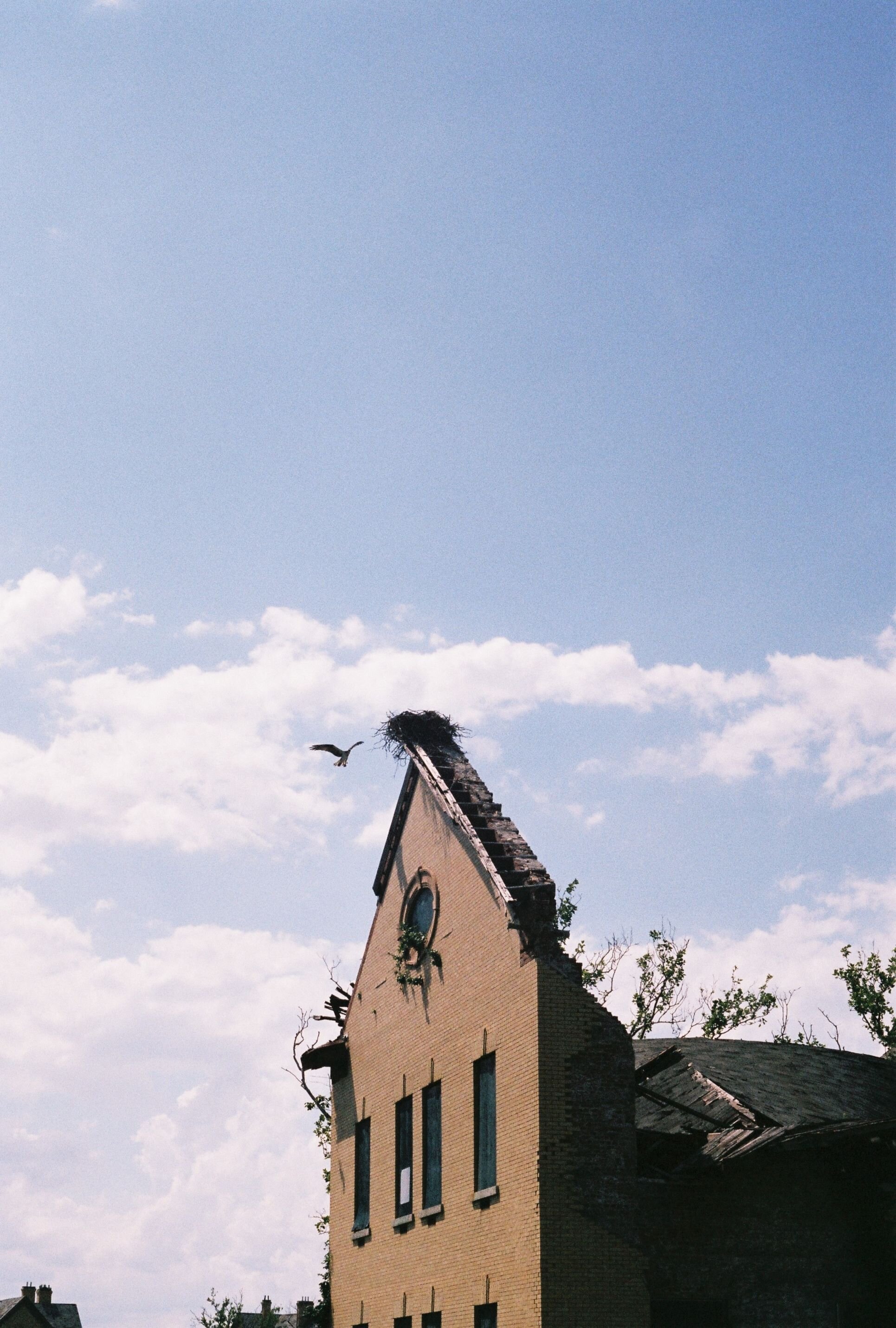 Roll1_A0040Swartz-R1-01-33 (2).jpg