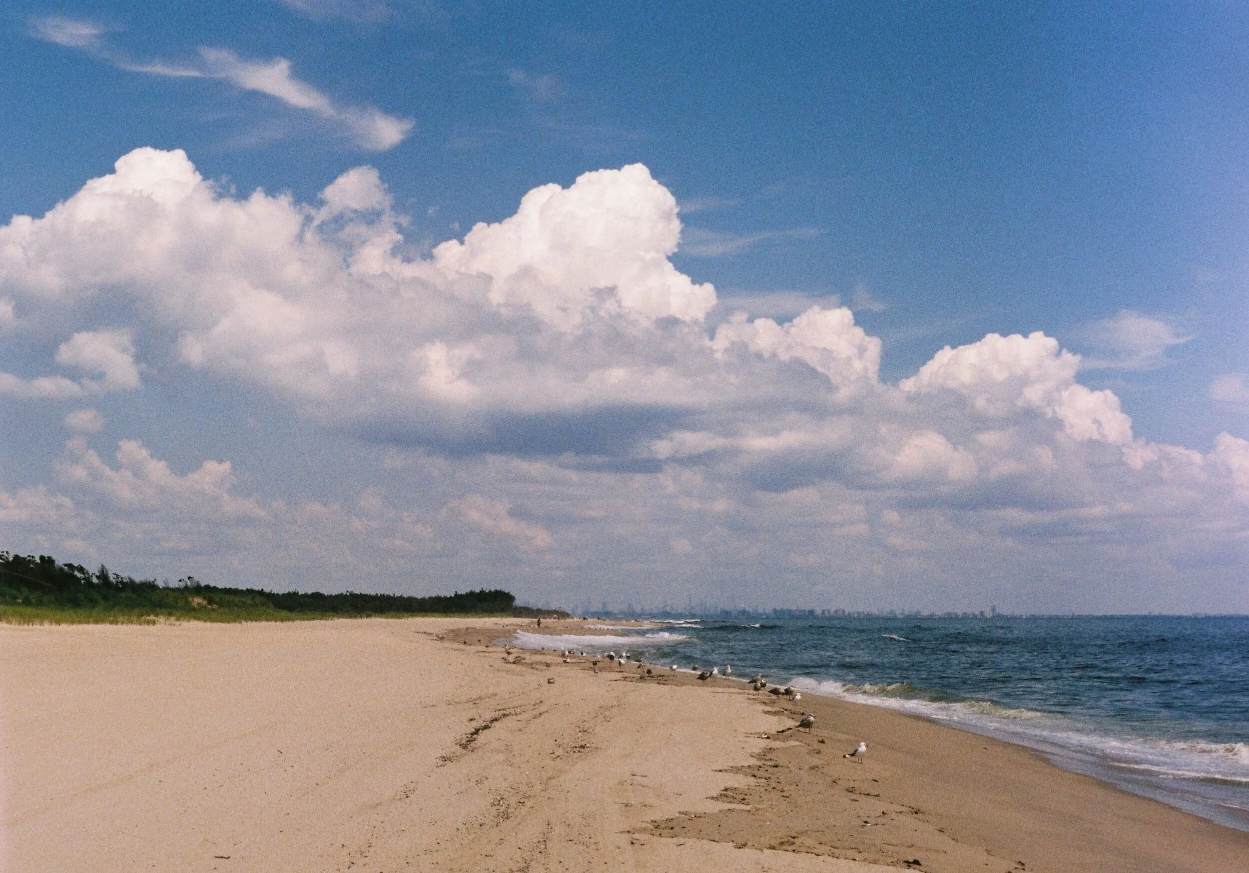 Roll1_A0040Swartz-R1-07-27.jpg