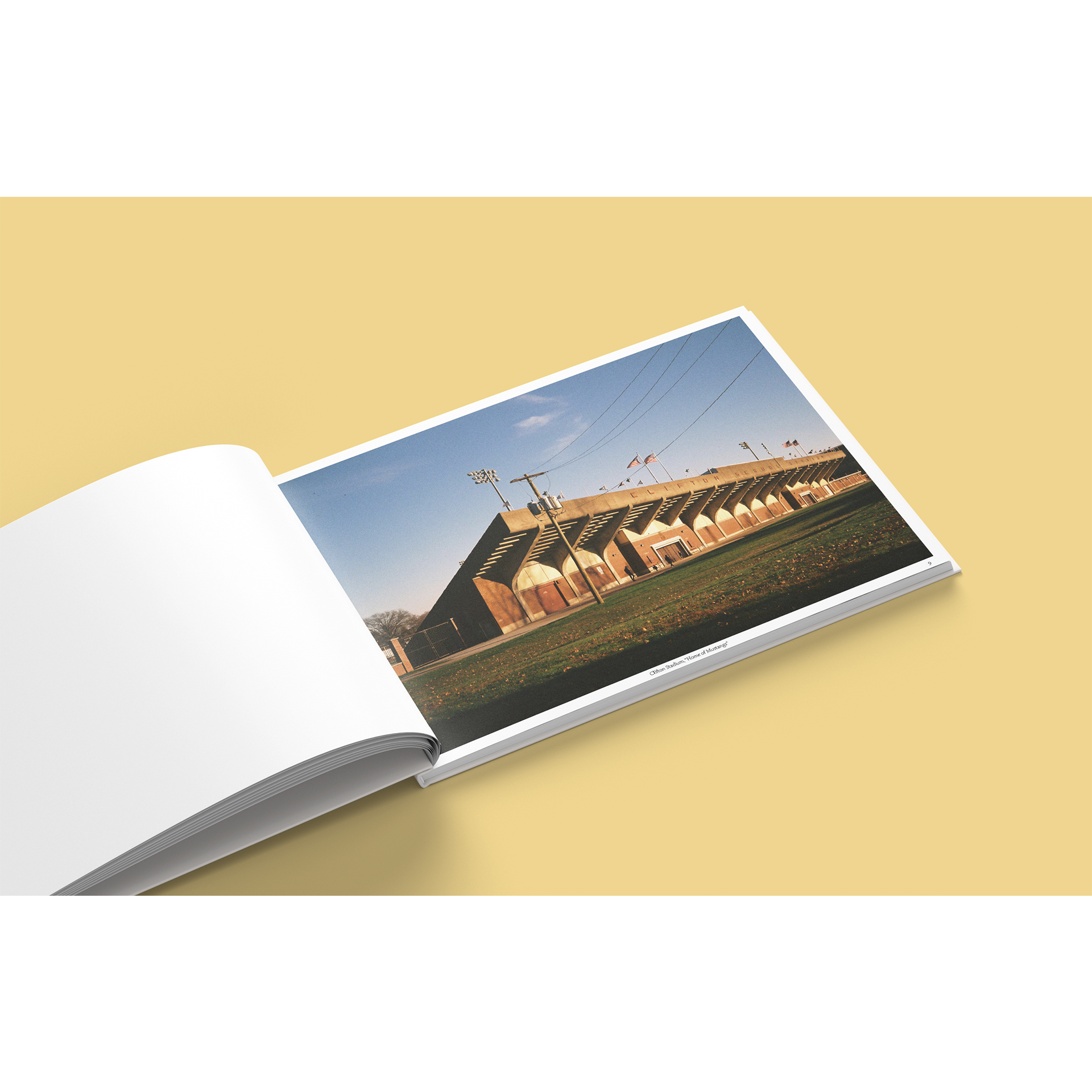 Open Book (White).png